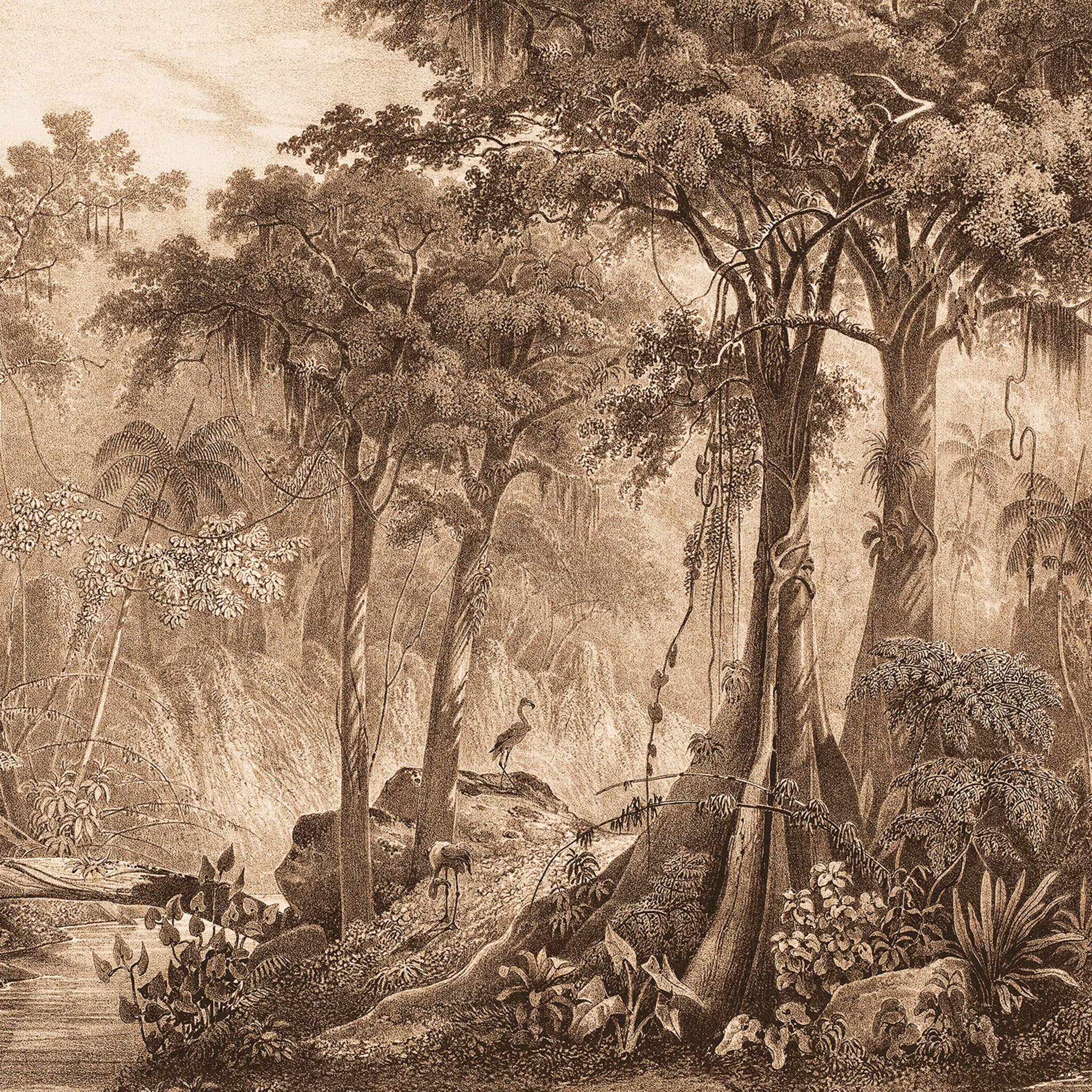 Curiosity wall mural 543766