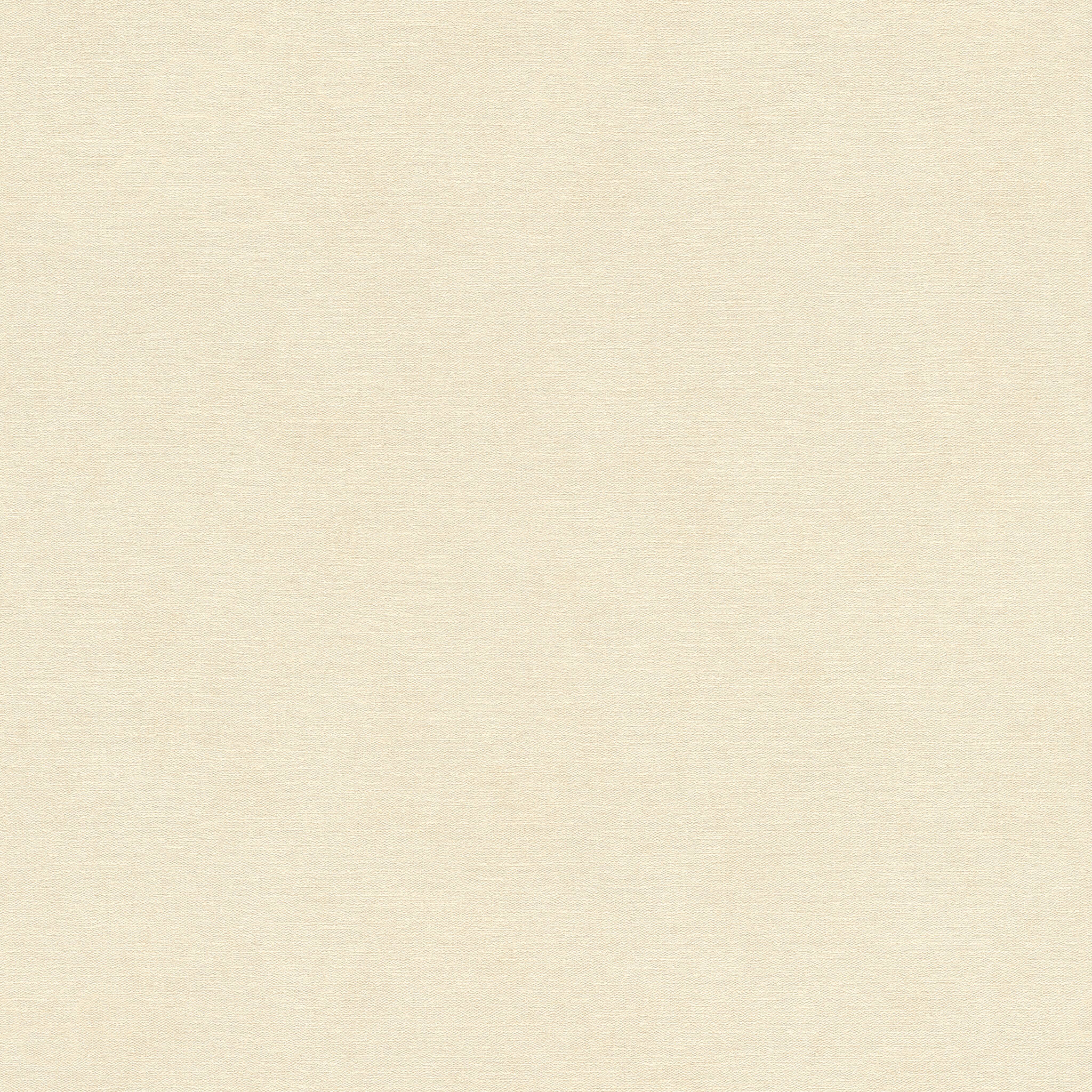 10-408256 Artikelscan 1 Light beige wallpaper with a matt, finely textured surface