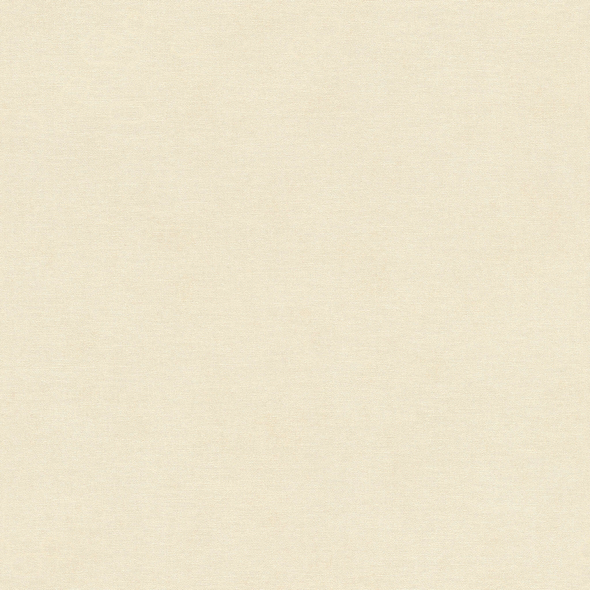 10-408256 Artikelscan 1 Light beige wallpaper with a matt, finely textured surface