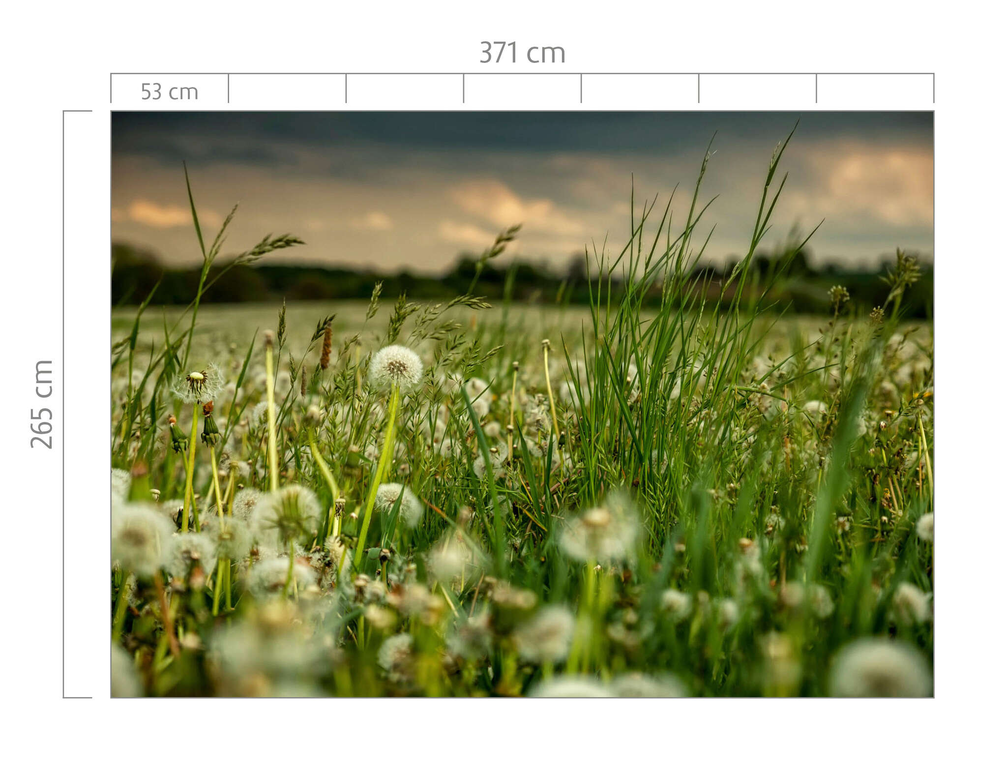 10-363357 Bildauschnitt 1