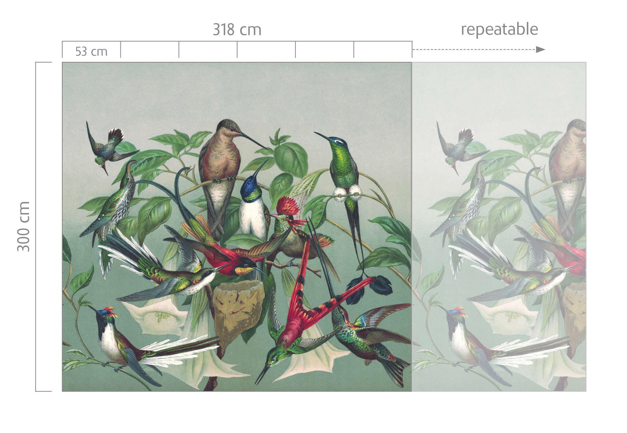10-543544 Bildauschnitt 1