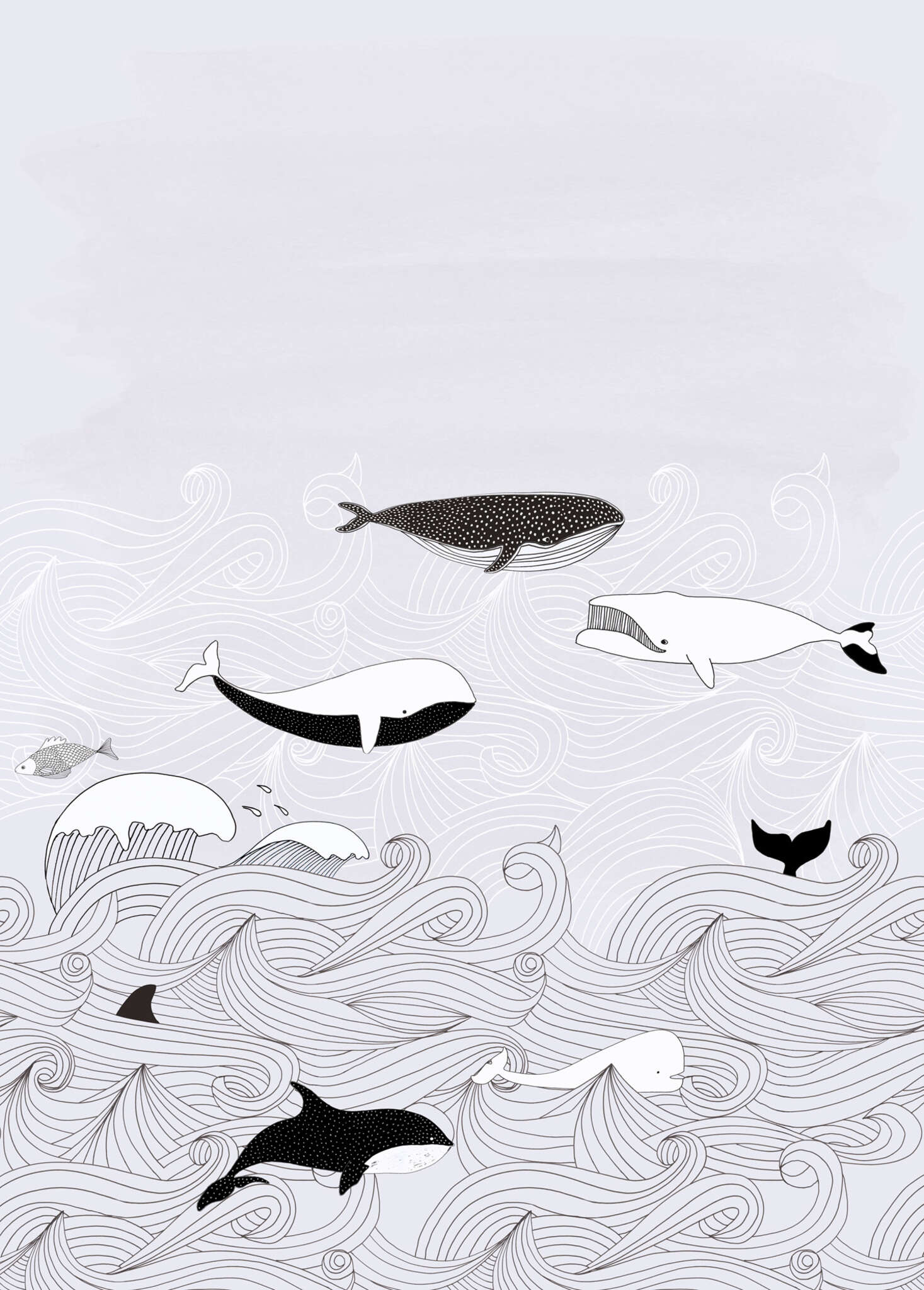 10-842531 Artikelscan 1 Papier peint intissé gris Selection Digital 842531