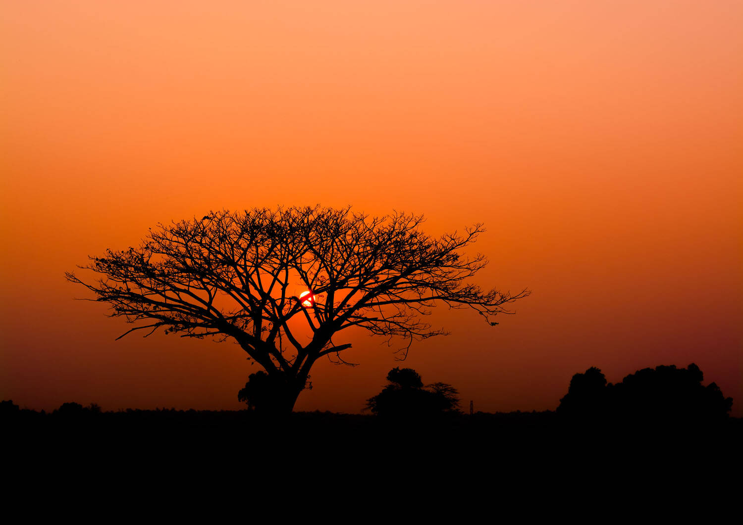 Fototapete mit Sonnenuntergang in Afrika