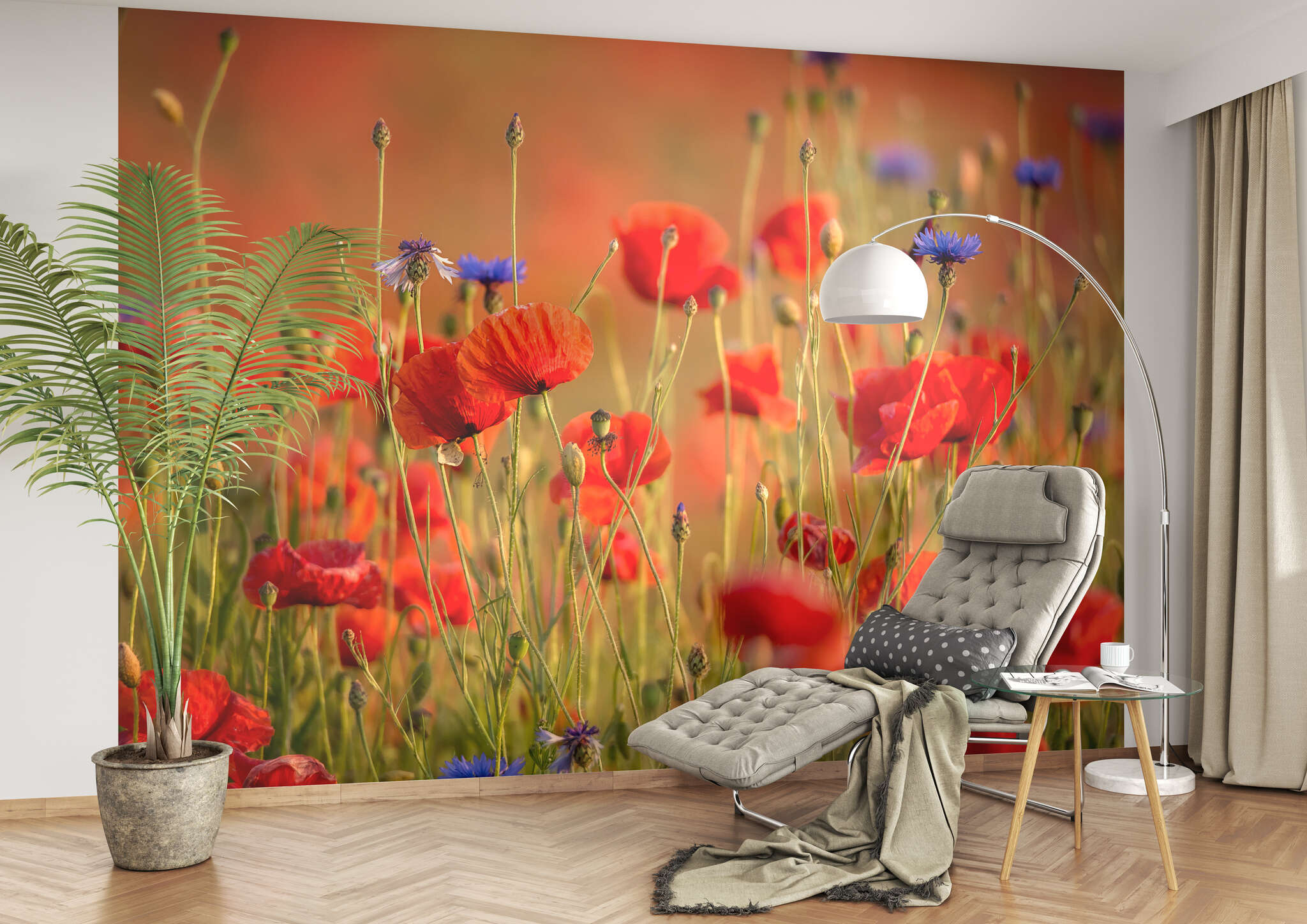 Lese-Ecke mit 363371 - Fototapete - Mohnblumenwiese im Zoom magicwalls Fototapete 363371