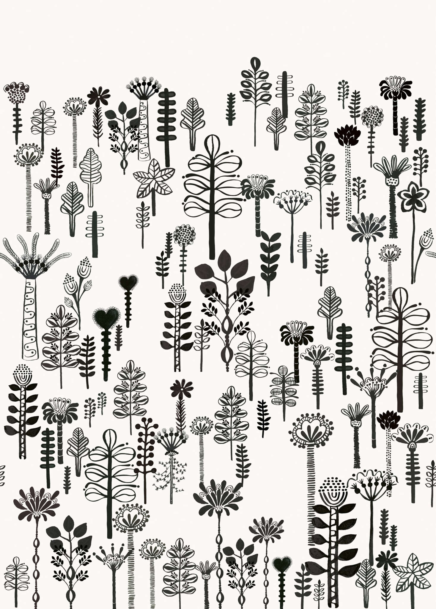 10-557879 Artikelscan 1 Fototapete Blumen in Schwarz-Weiß Onszelf Digital 557879