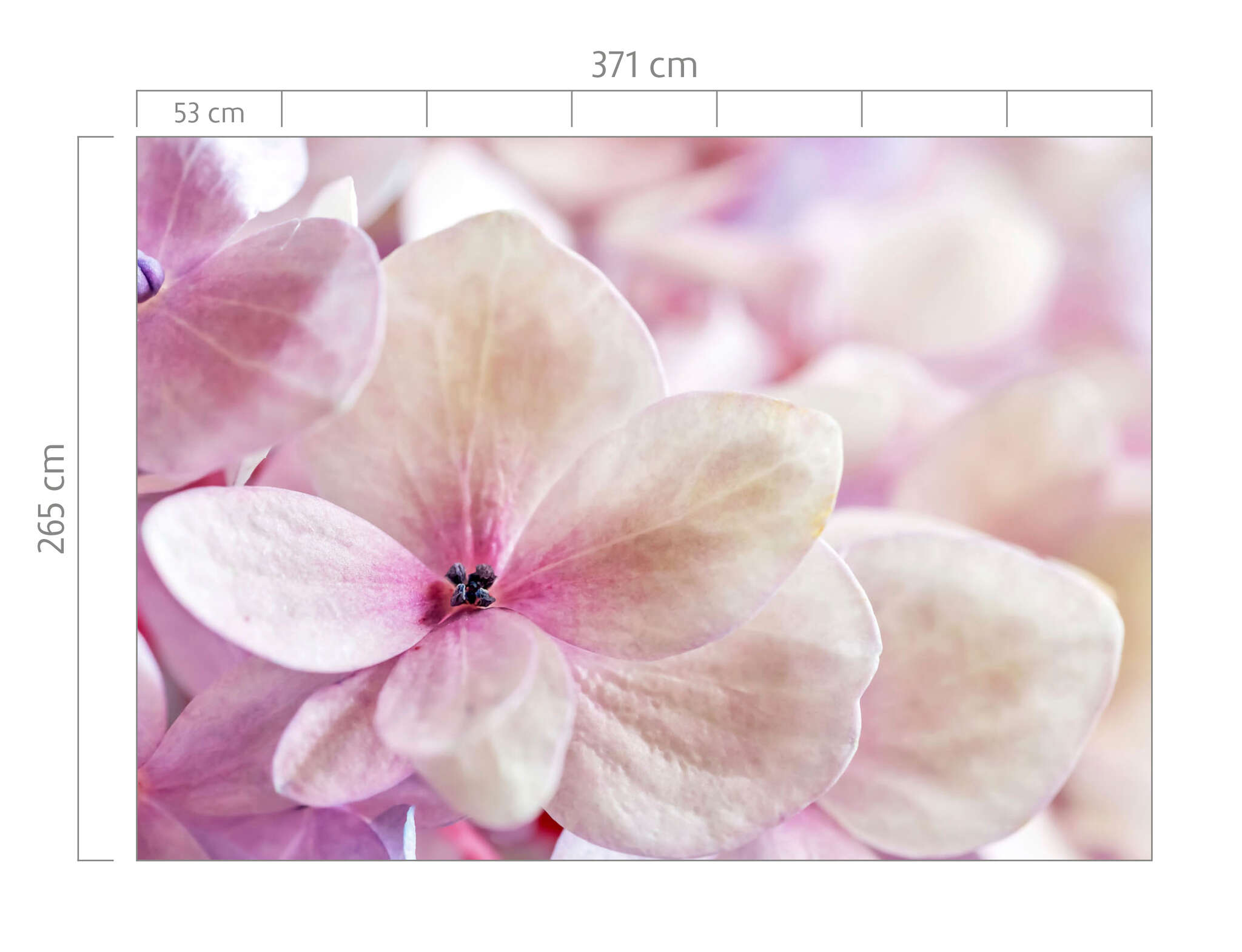 10-363326 Bildauschnitt 1