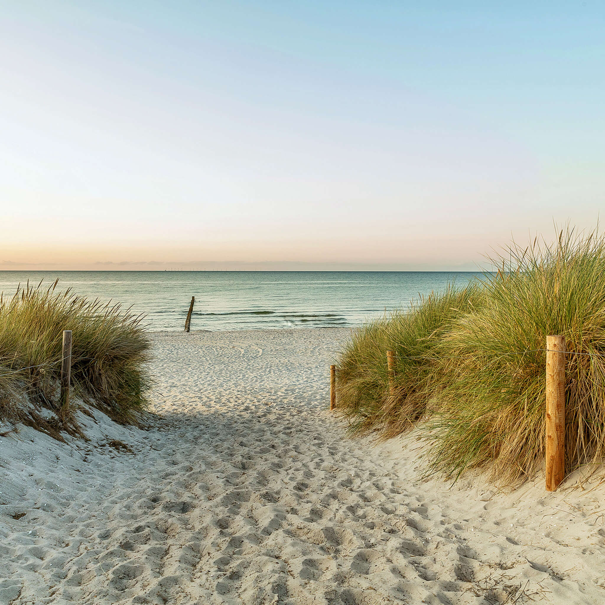 Fototapete Nordsee Dünen 363296 magicwalls Fototapete Dünen 363296