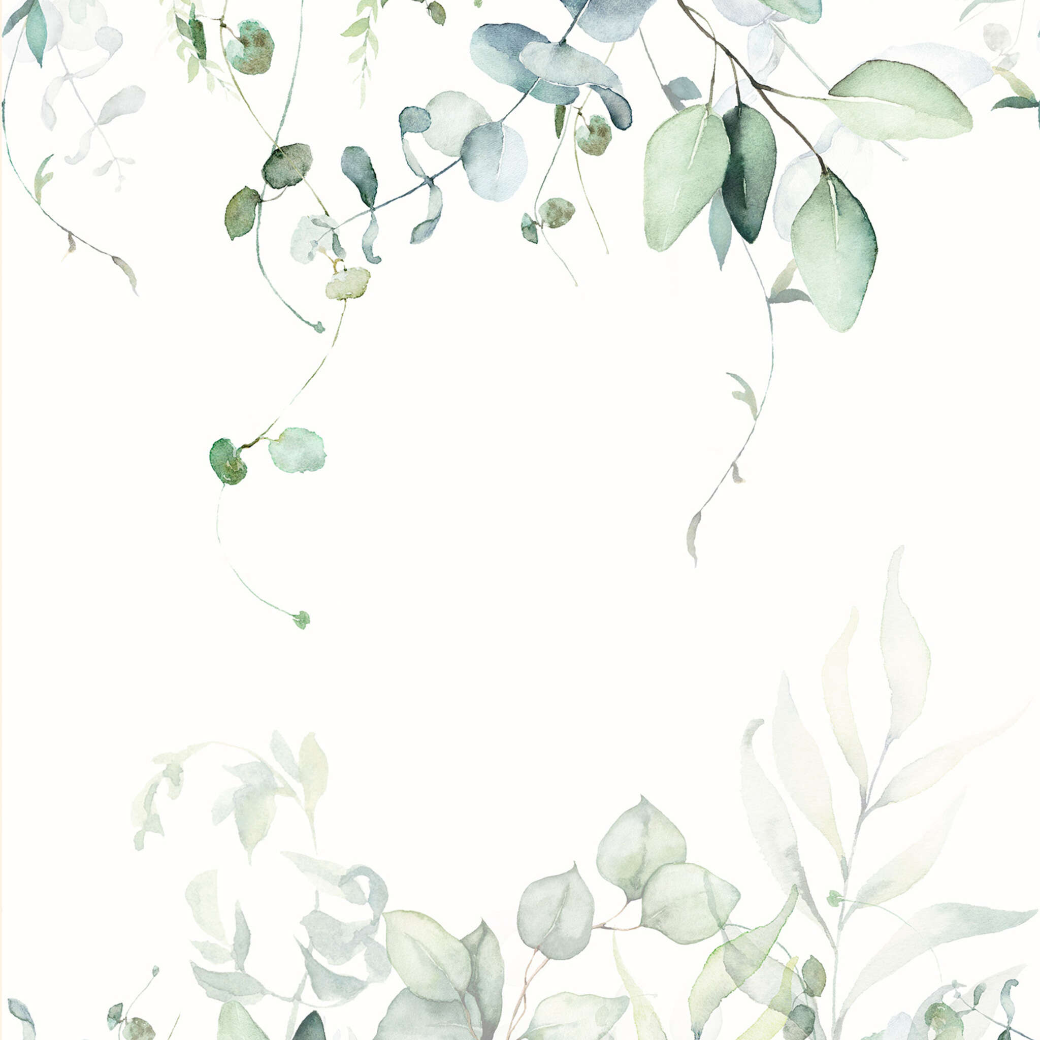 Fototapete Eukalyptus - Kids World II 364859