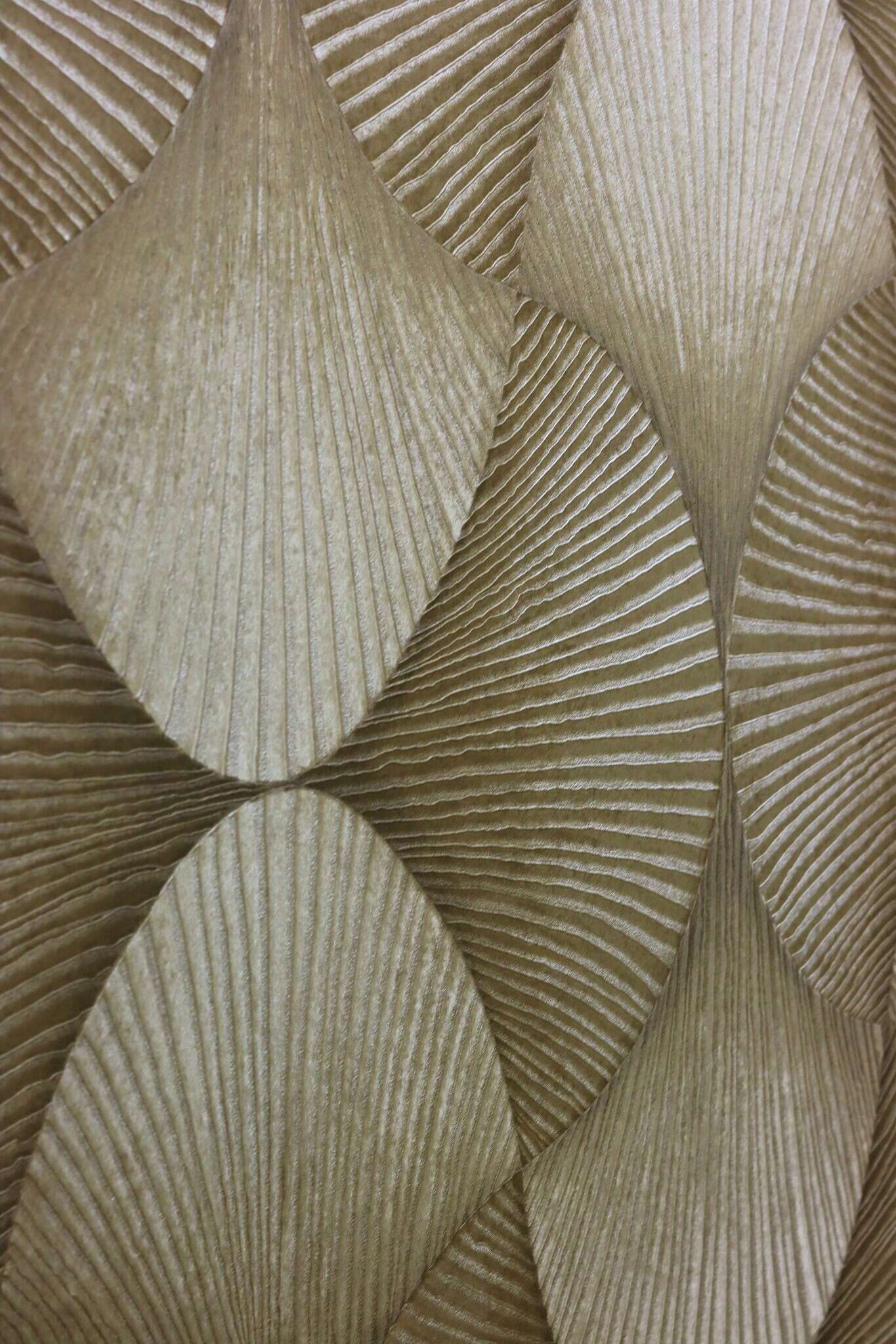 10-608243 Detailaufnahmen 2 Detailed image of Graphic wallpaper with shells and grooved texture