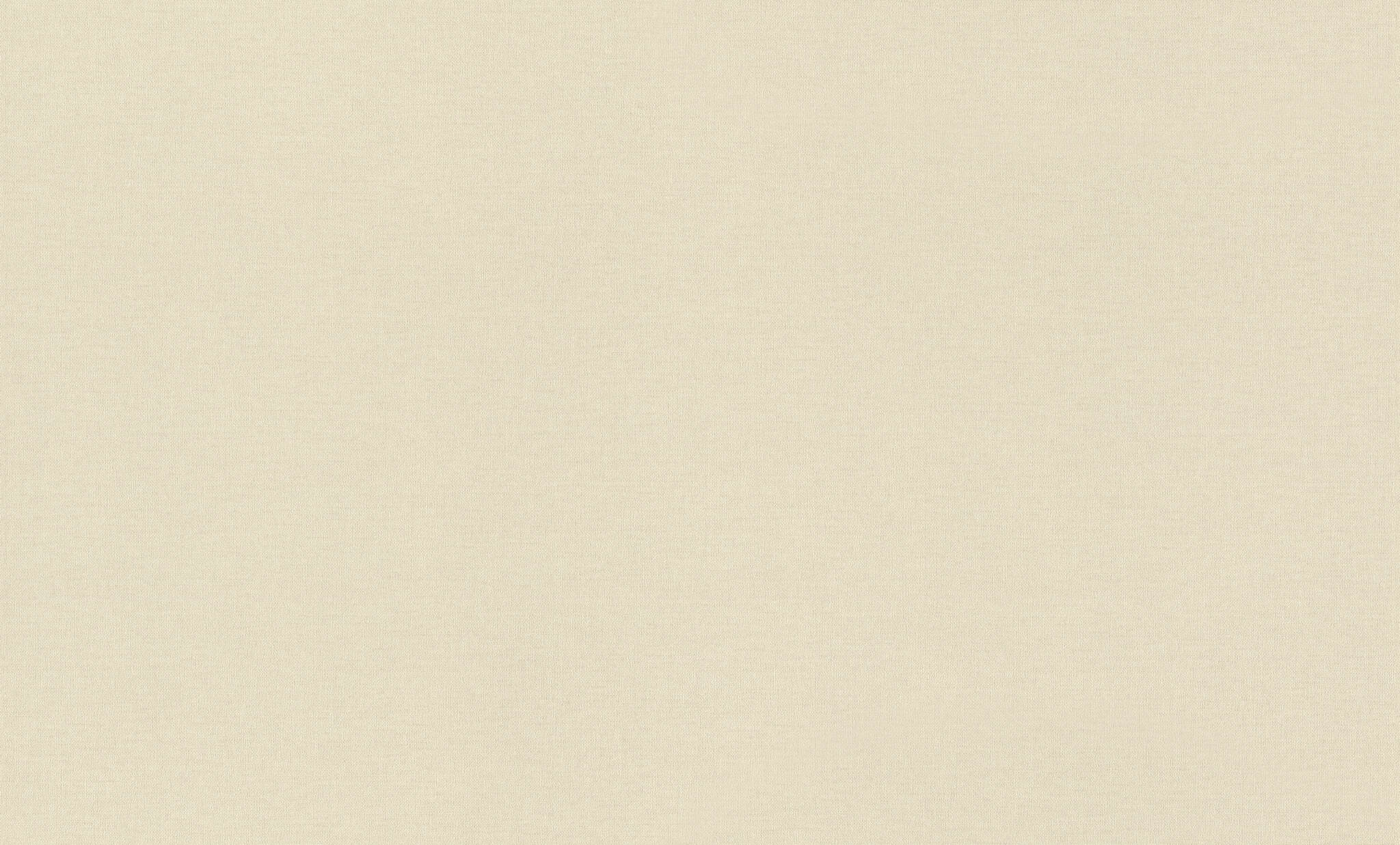 10-971361 Artikelscan 1 Vliestapete in Beige Wall Textures XL Vol. 4 971361