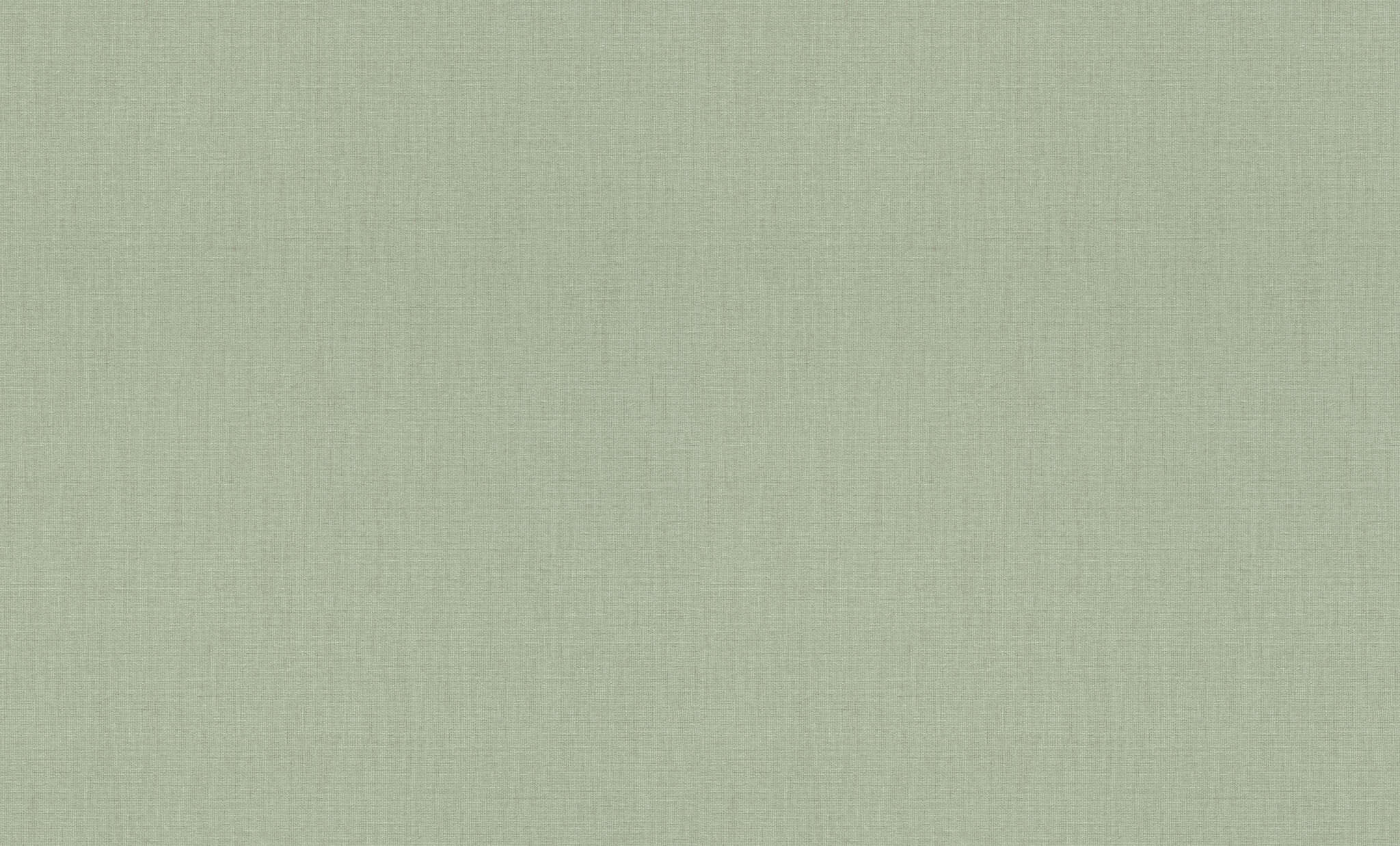10-820065 Artikelscan 1 Non-woven wallpaper in green-sage Florentine XL2 820065