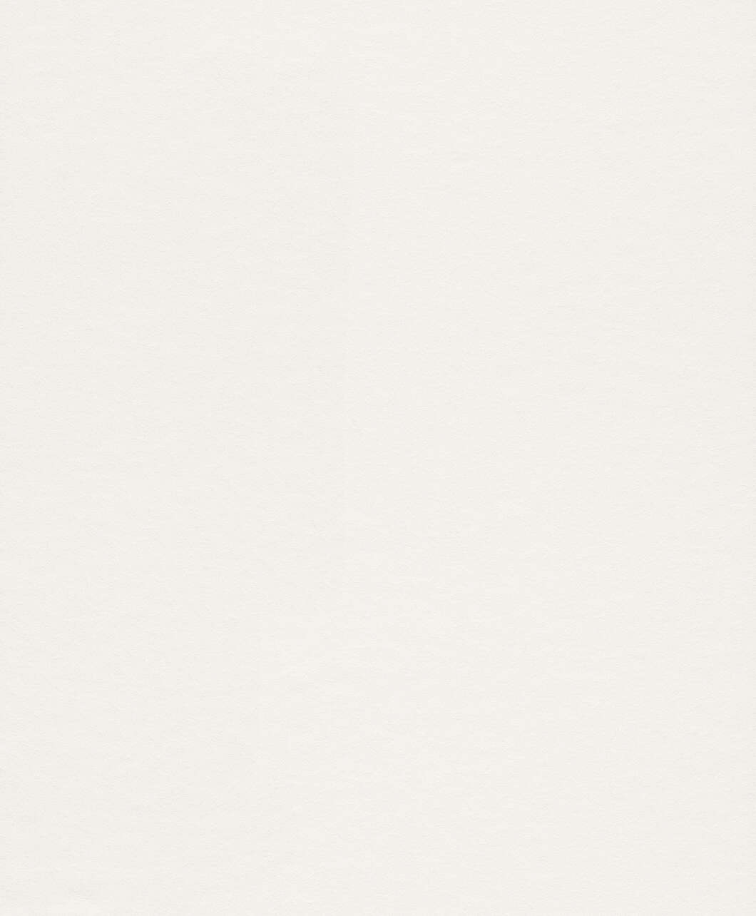 10-165814 Artikelscan 1 Malervlies Makulaturvlies 165814 - 25m x 1,06m - 150 g/m²