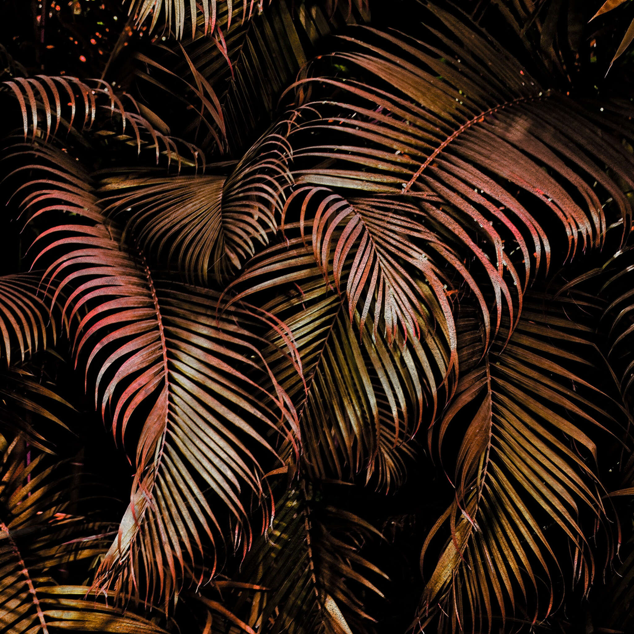 10-363135 D2C Vorschaubild 1