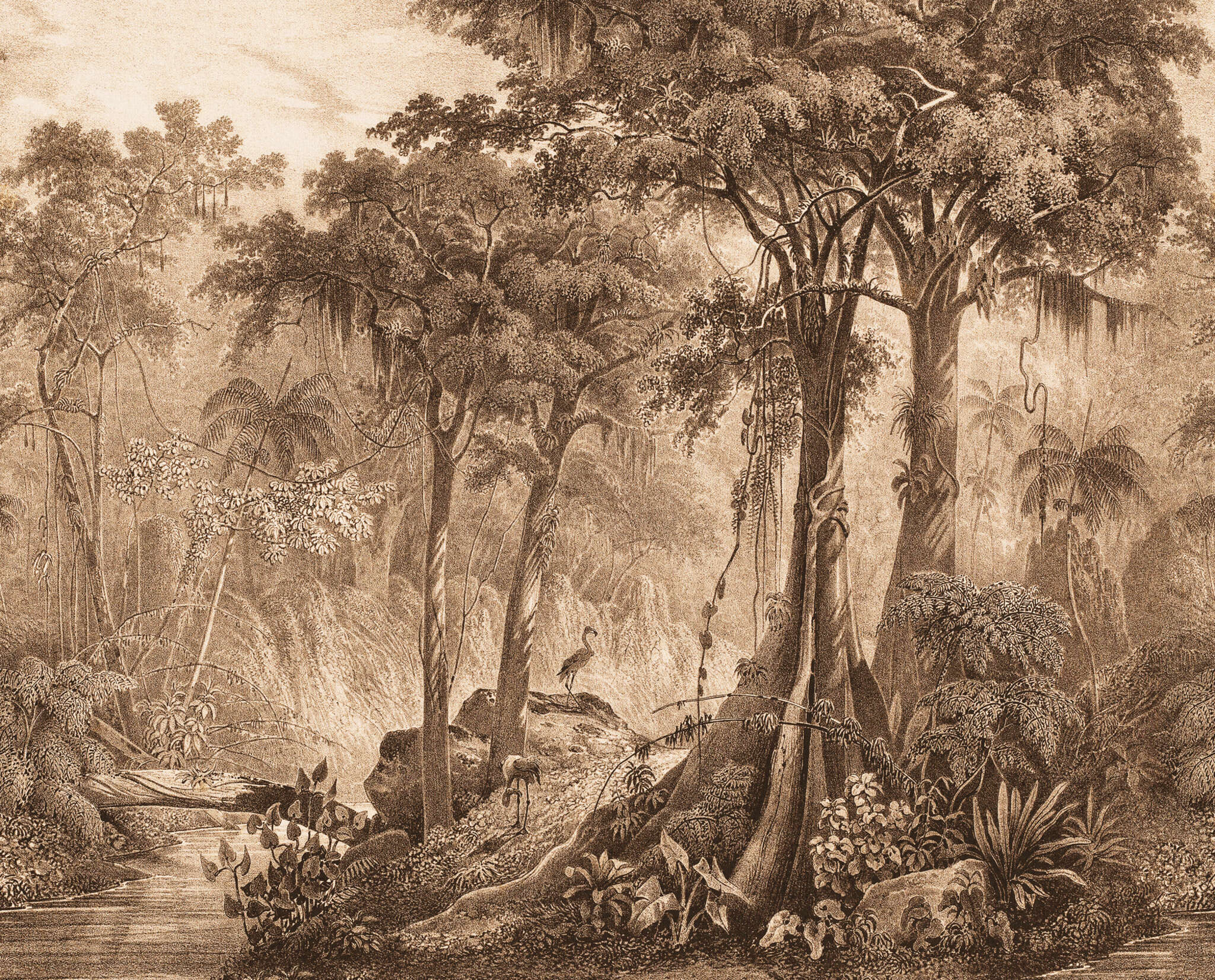 10-543766 Artikelscan 1 Curiosity wall mural 543766