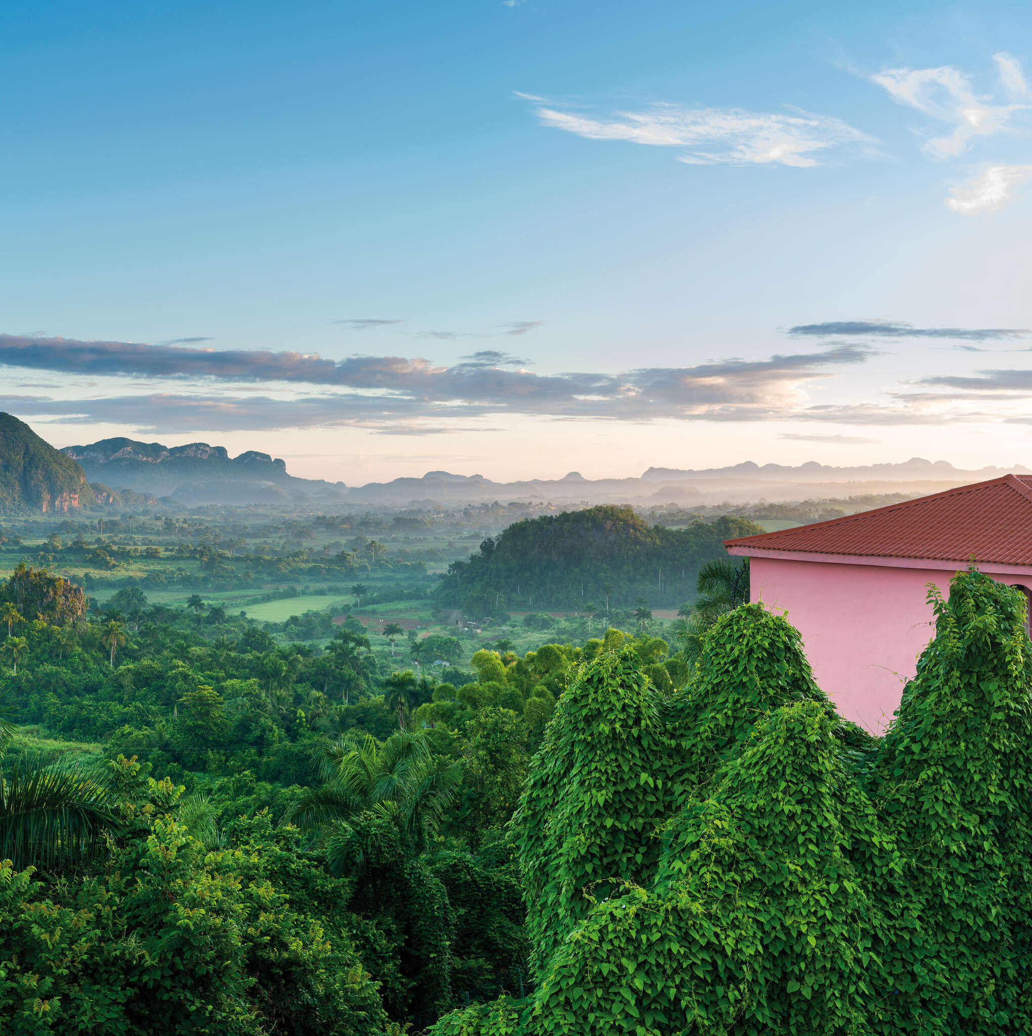 10-101164 Artikelscan 1 Papier peint Young Artists 101164