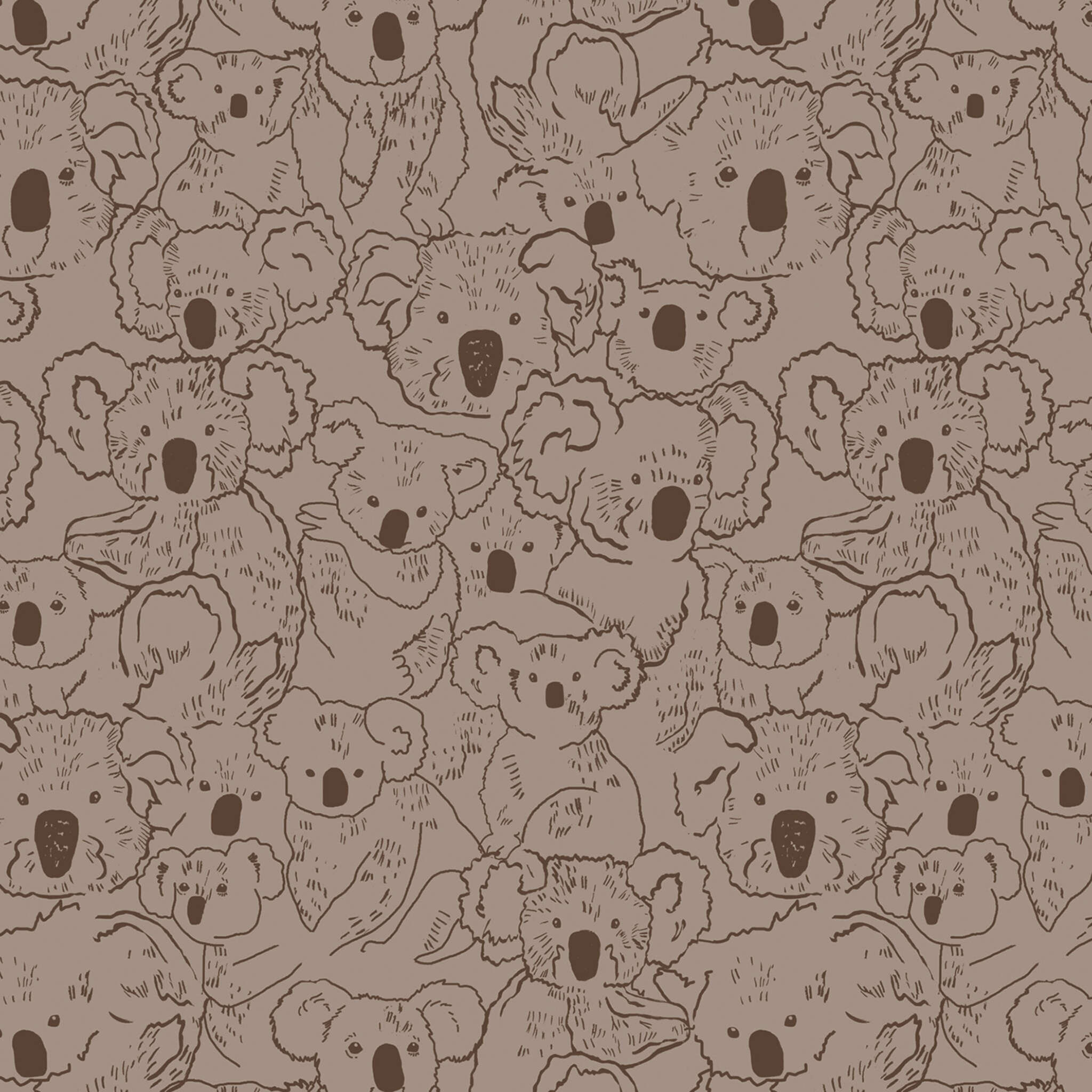 Fototapete Koalas in Braun 300205 Fototapete Koala in Braun | Roomblush - RB309