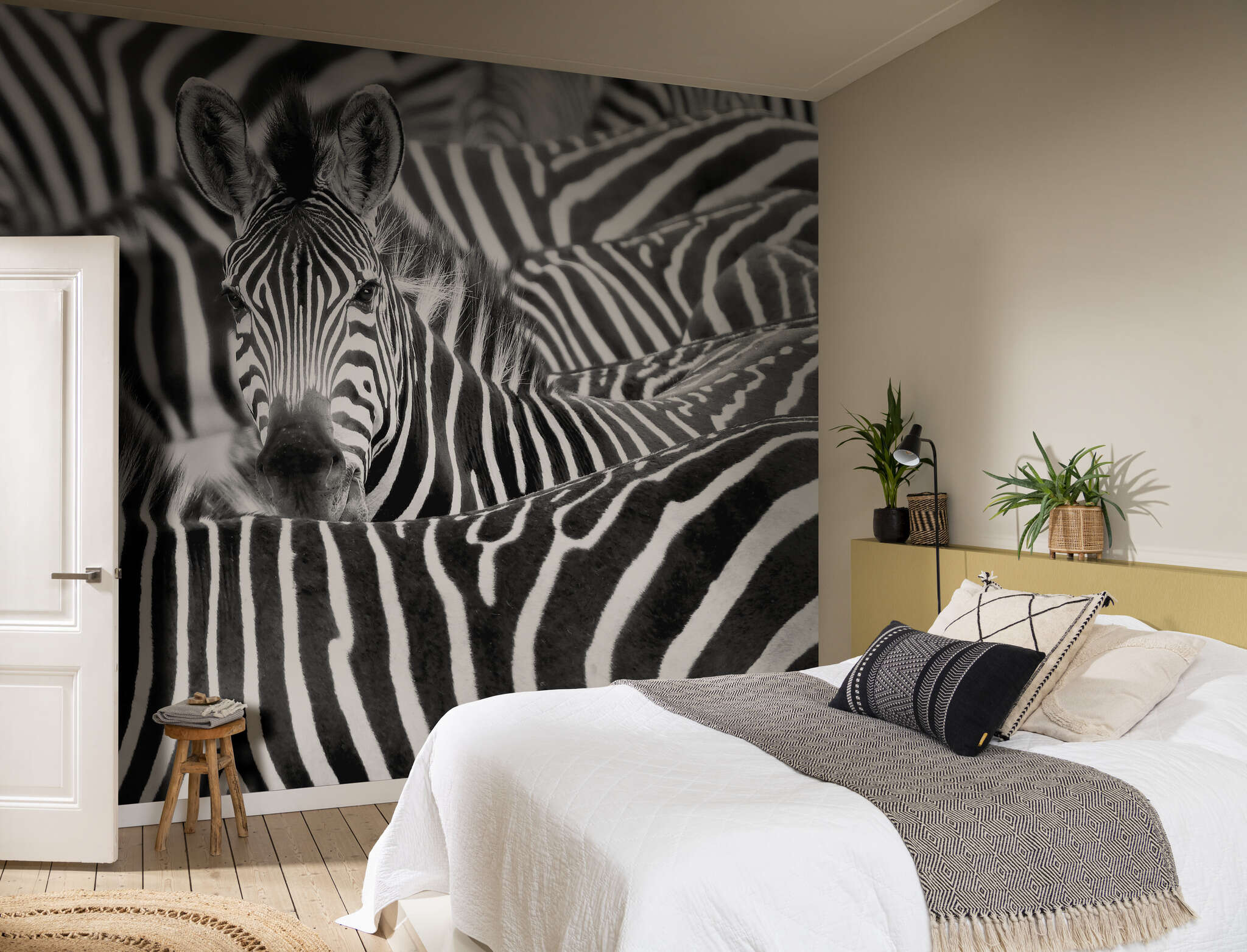 Schlafzimmer mit 363609 - Fototapete - Angesicht zu Angesicht mit Zebra African Queen III wall mural 363609