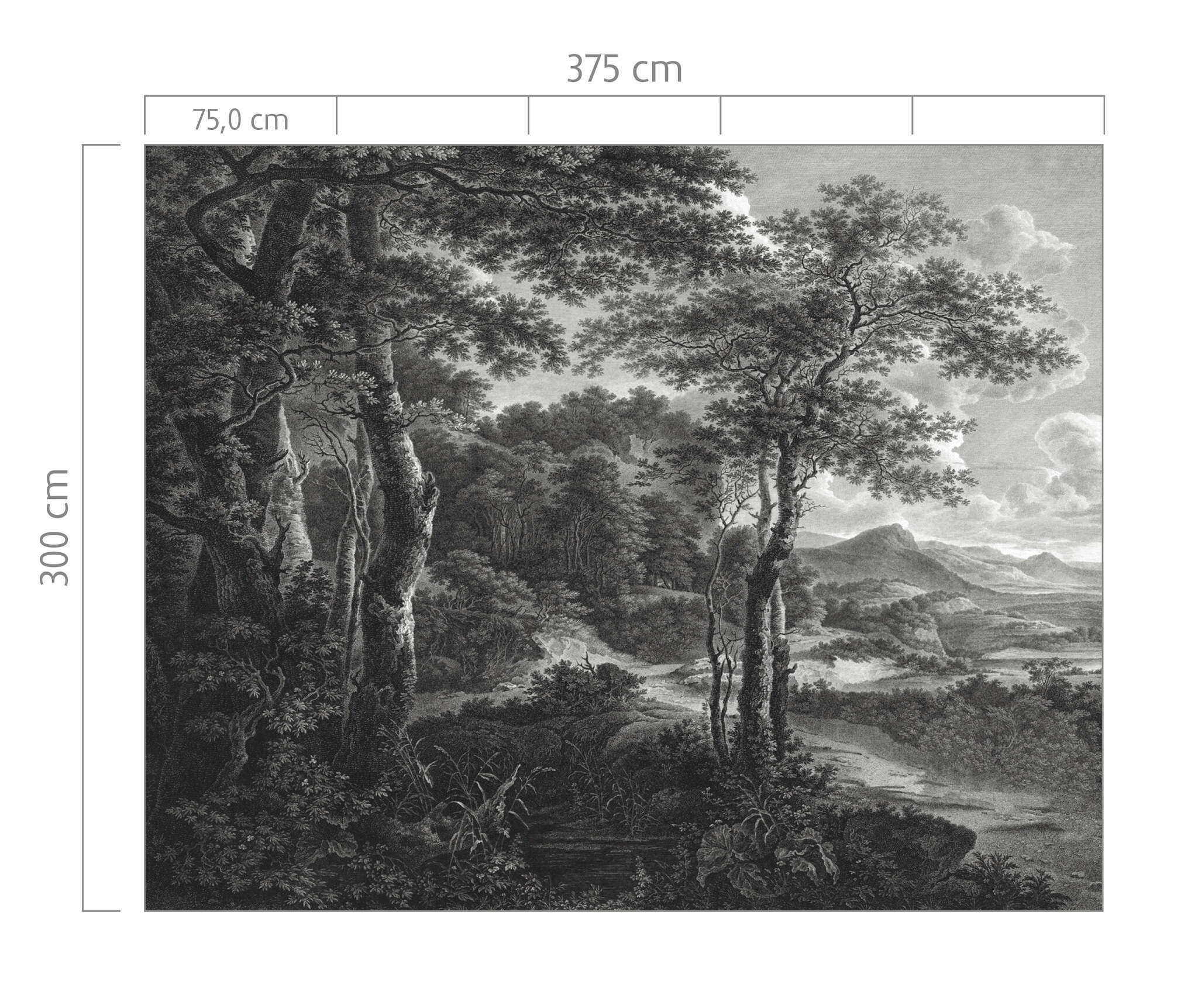 10-606881 Bildauschnitt 1