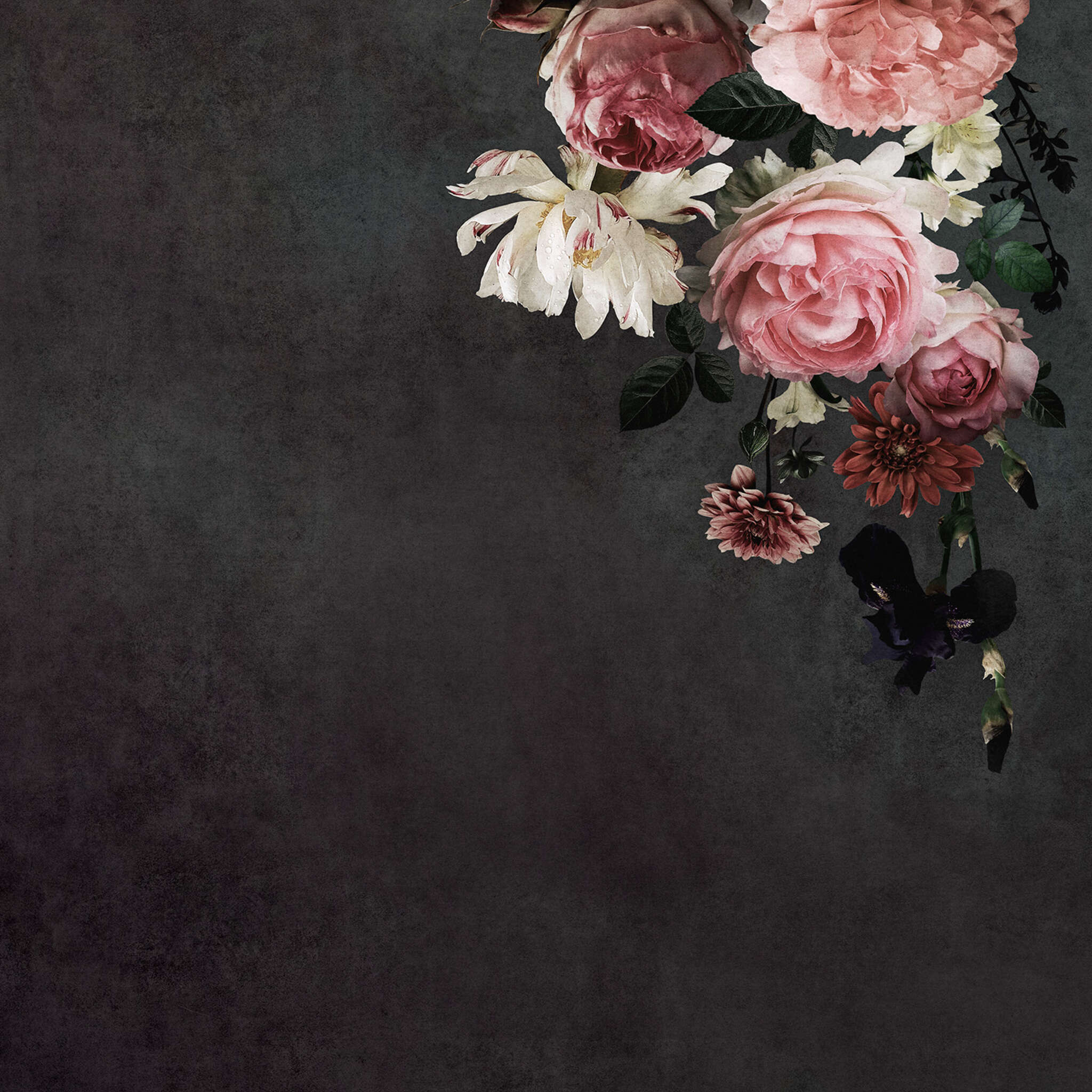 10-363227 D2C Vorschaubild 1