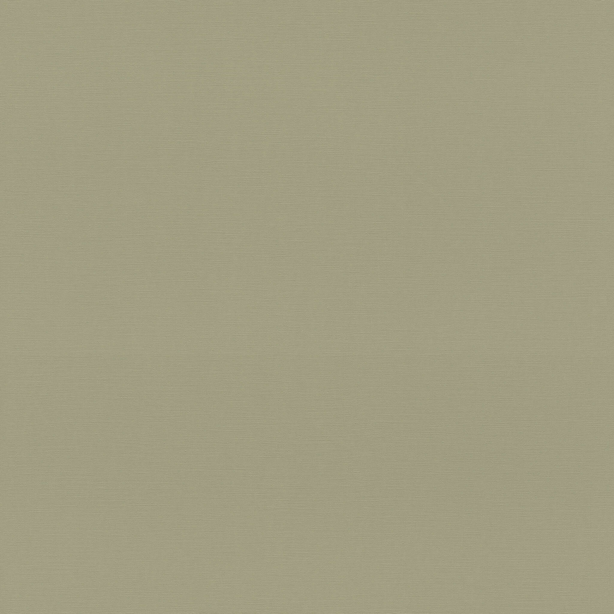 10-692709 Artikelscan 1 Single-colour wallpaper with a textile texture