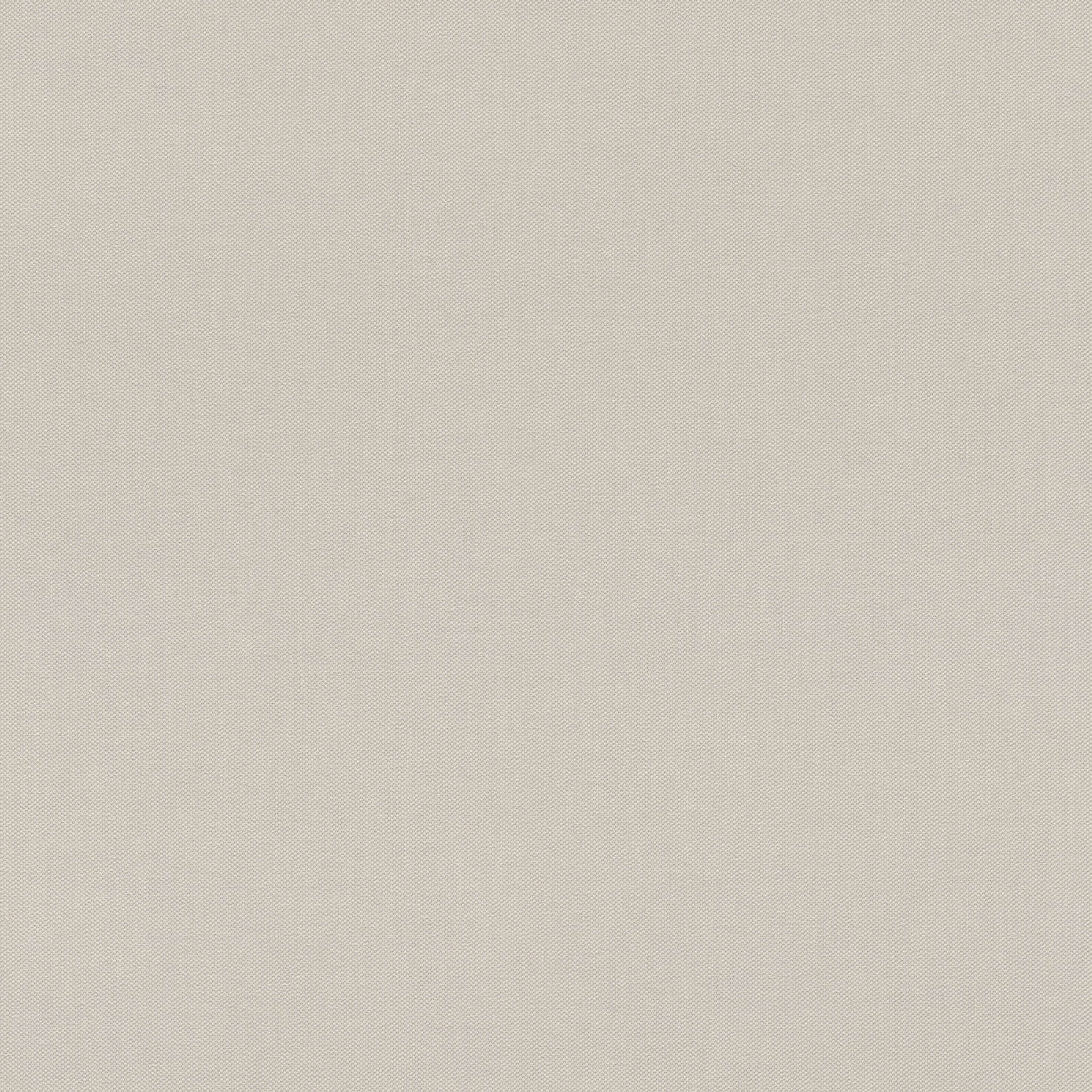 10-542479 Artikelscan 1 Single-colour wallpaper with a textile texture