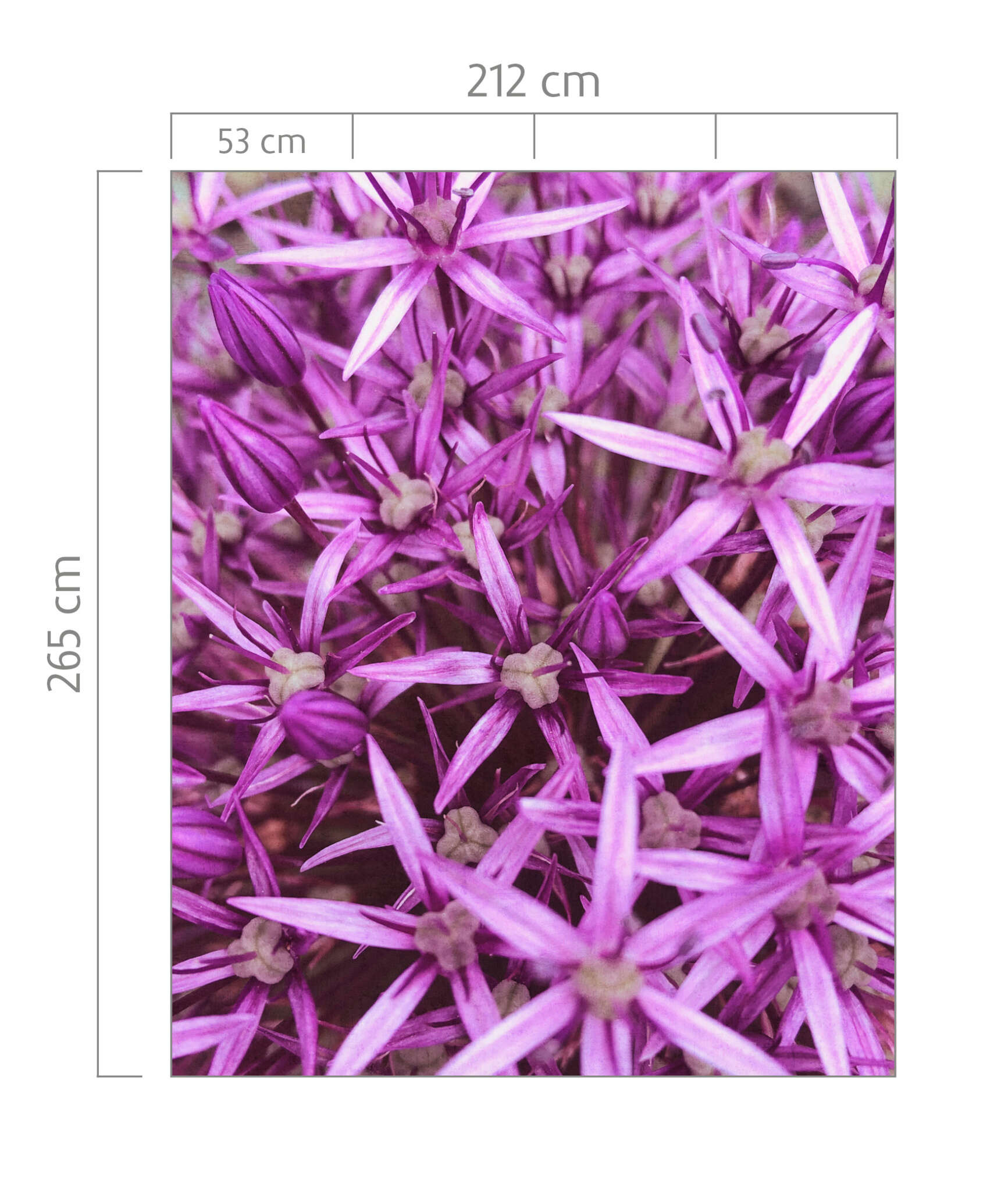 10-364125 Bildauschnitt 1