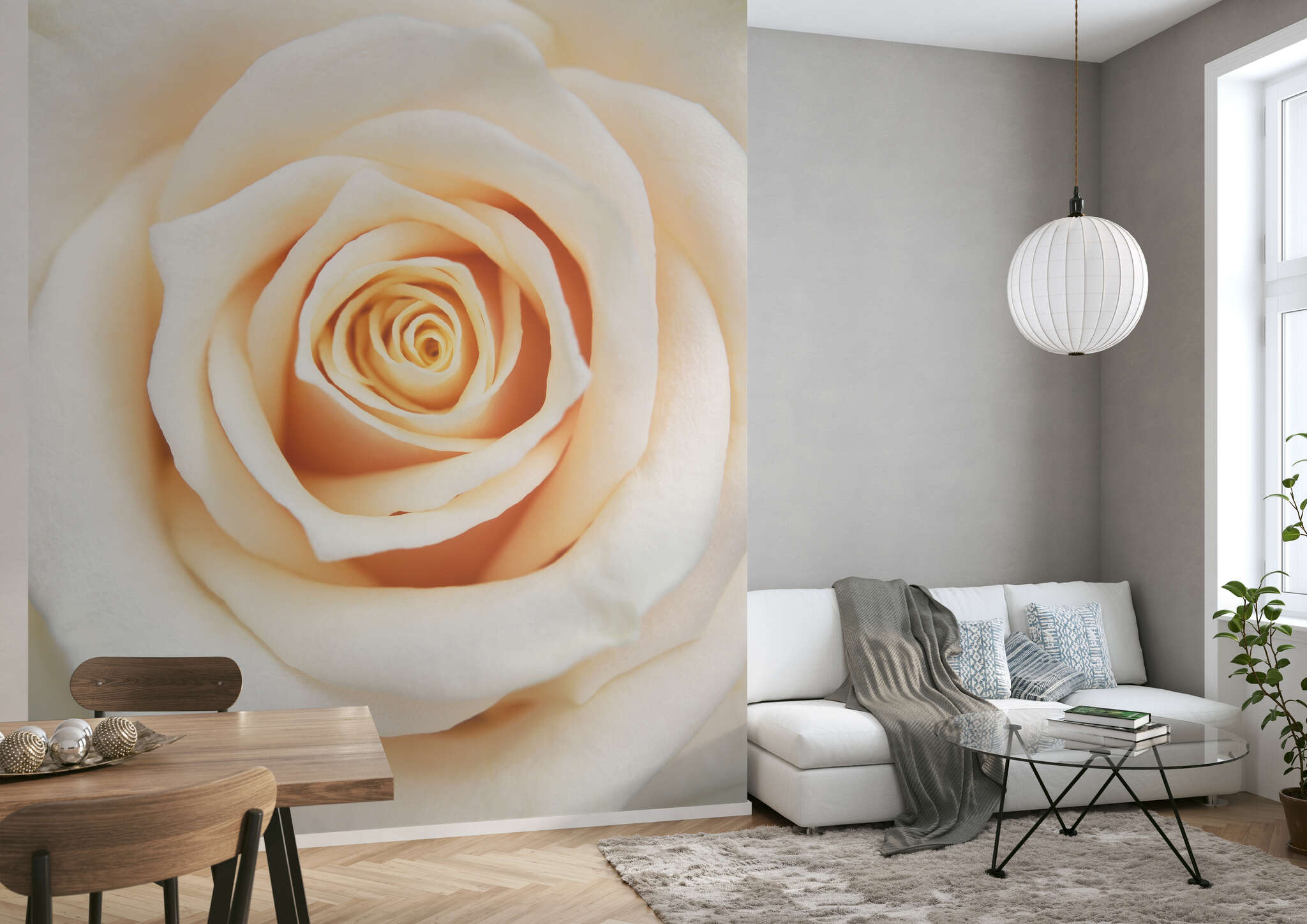 10-839654 Raumbilder 1 Fototapete Rose in Creme - Magicwalls 839654