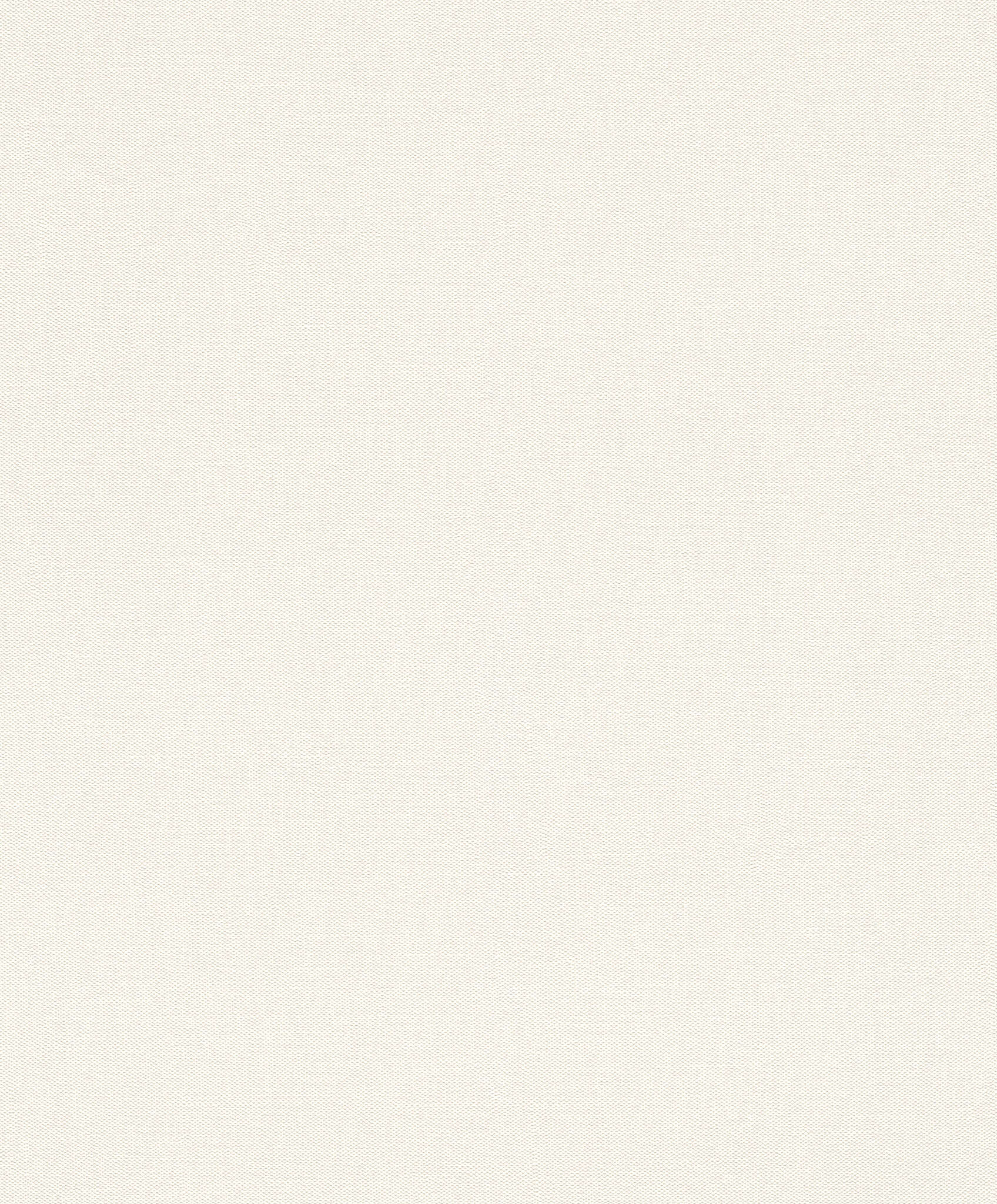 10-633368 Artikelscan 1 Single-colour wallpaper with a grainy textile texture
