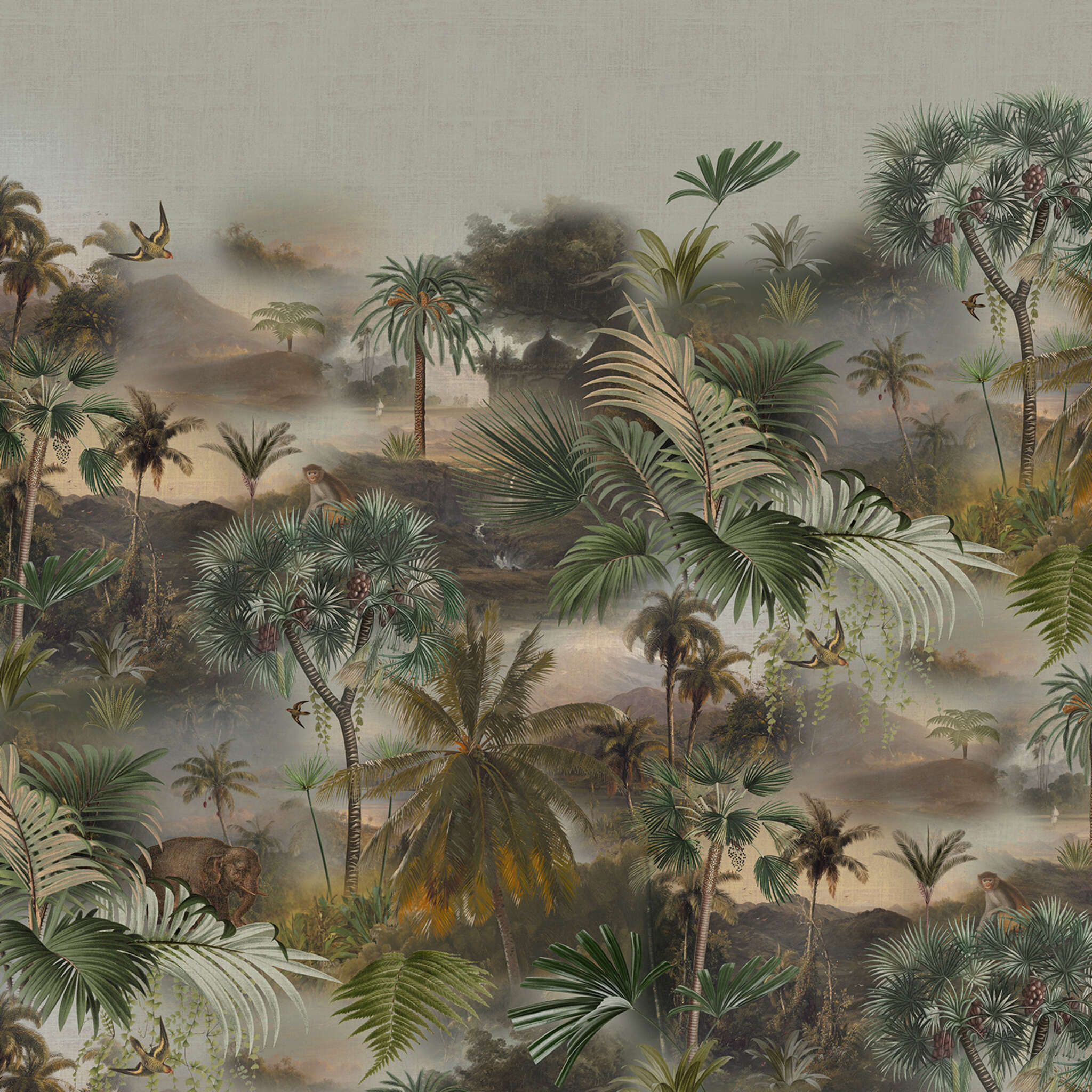 Curiosity wall mural 543582