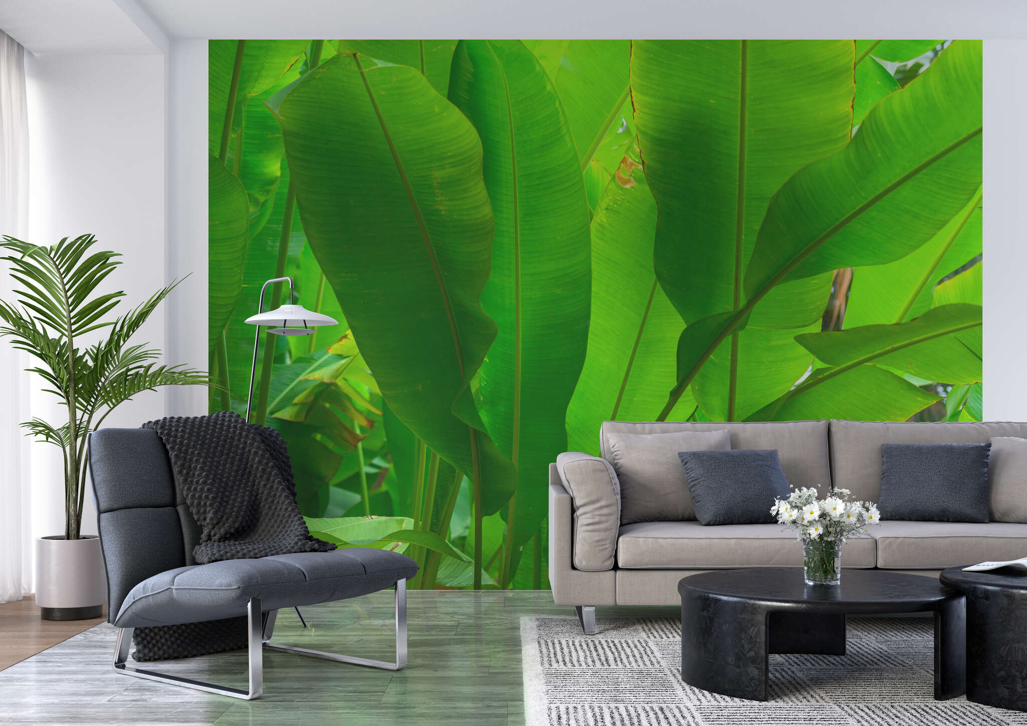 10-363807 Raumsituationen 1 Wall mural banana leaves green 363807