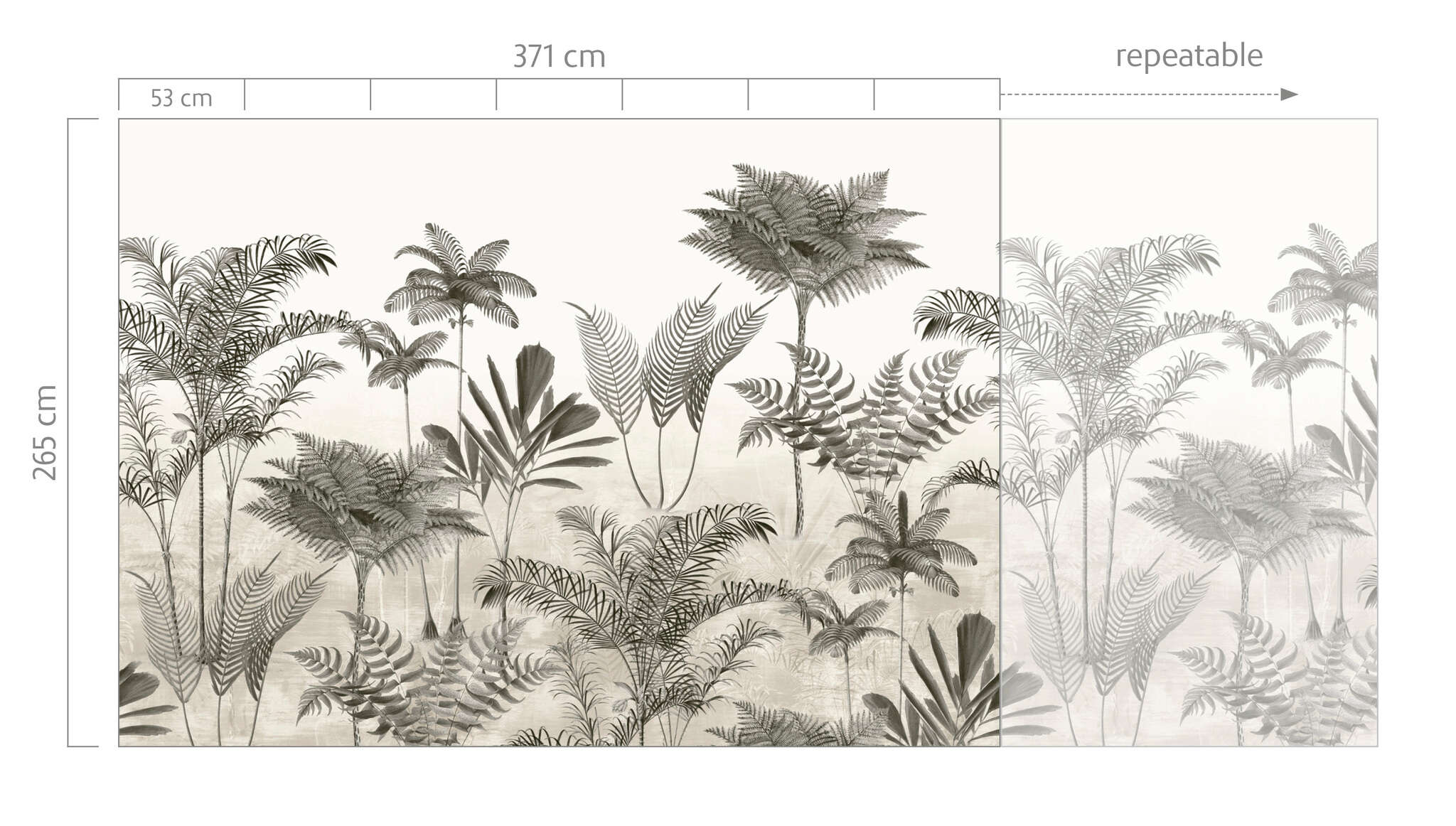 10-556223 Bildauschnitt 1