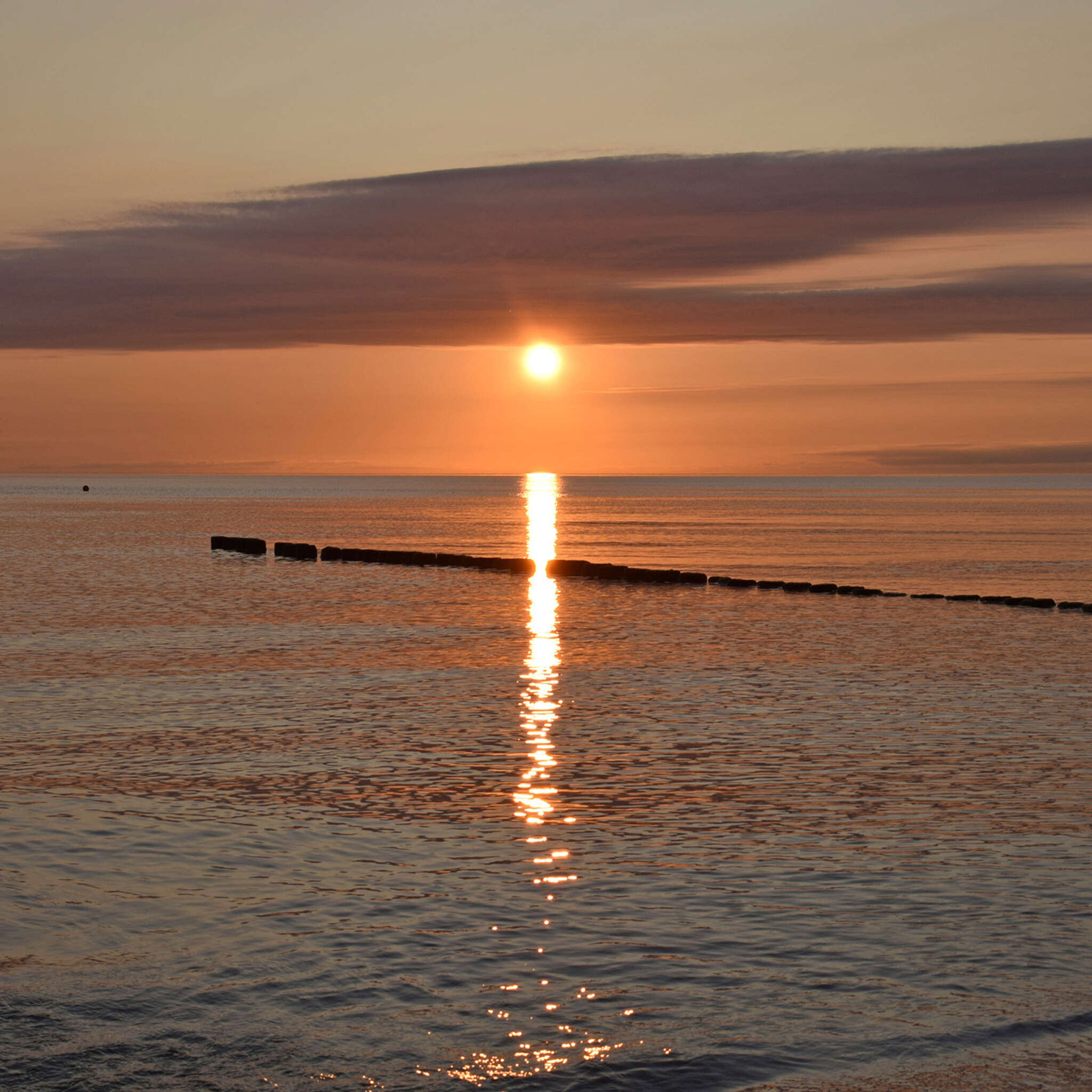 magicwalls photo wallpaper with sunset 364682