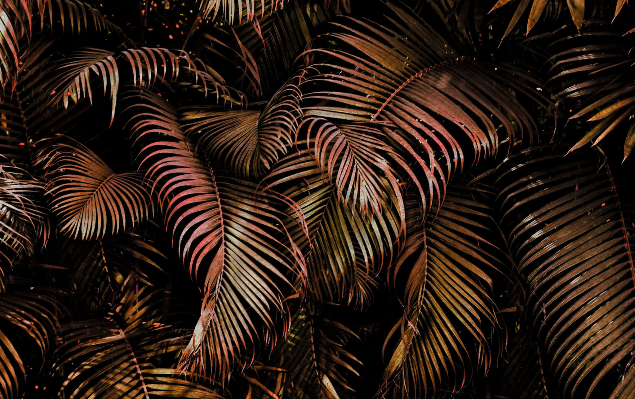 10-363098 Artikelscan 1 magicwalls Fototapete 363098