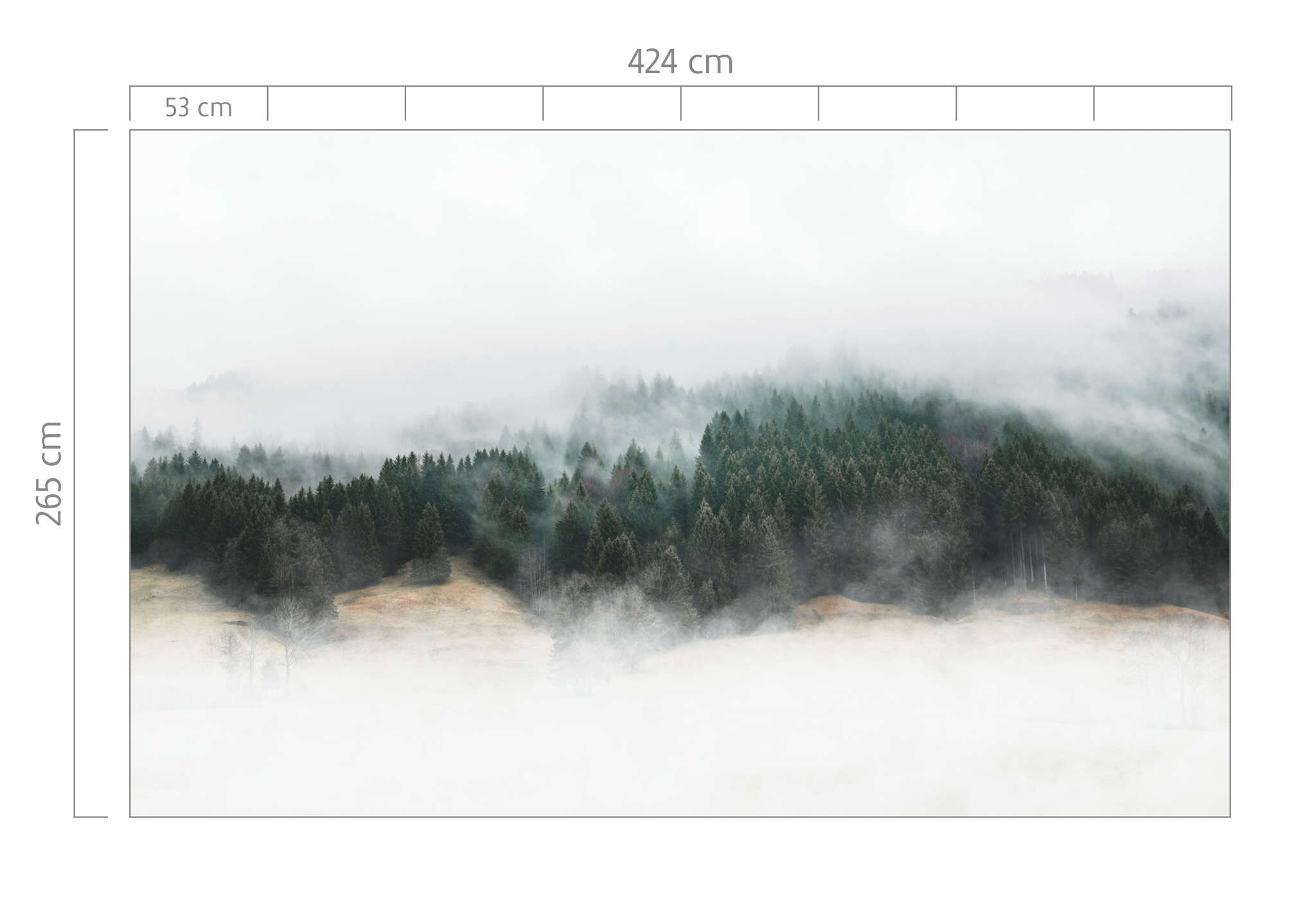 10-360059 Bildauschnitt 1 Fototapete Wald und Nebel 360059