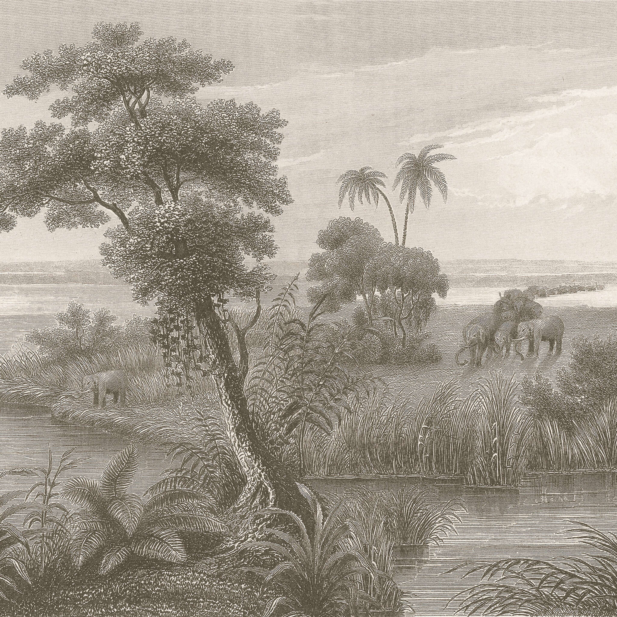 Fototapete Lirico 556155