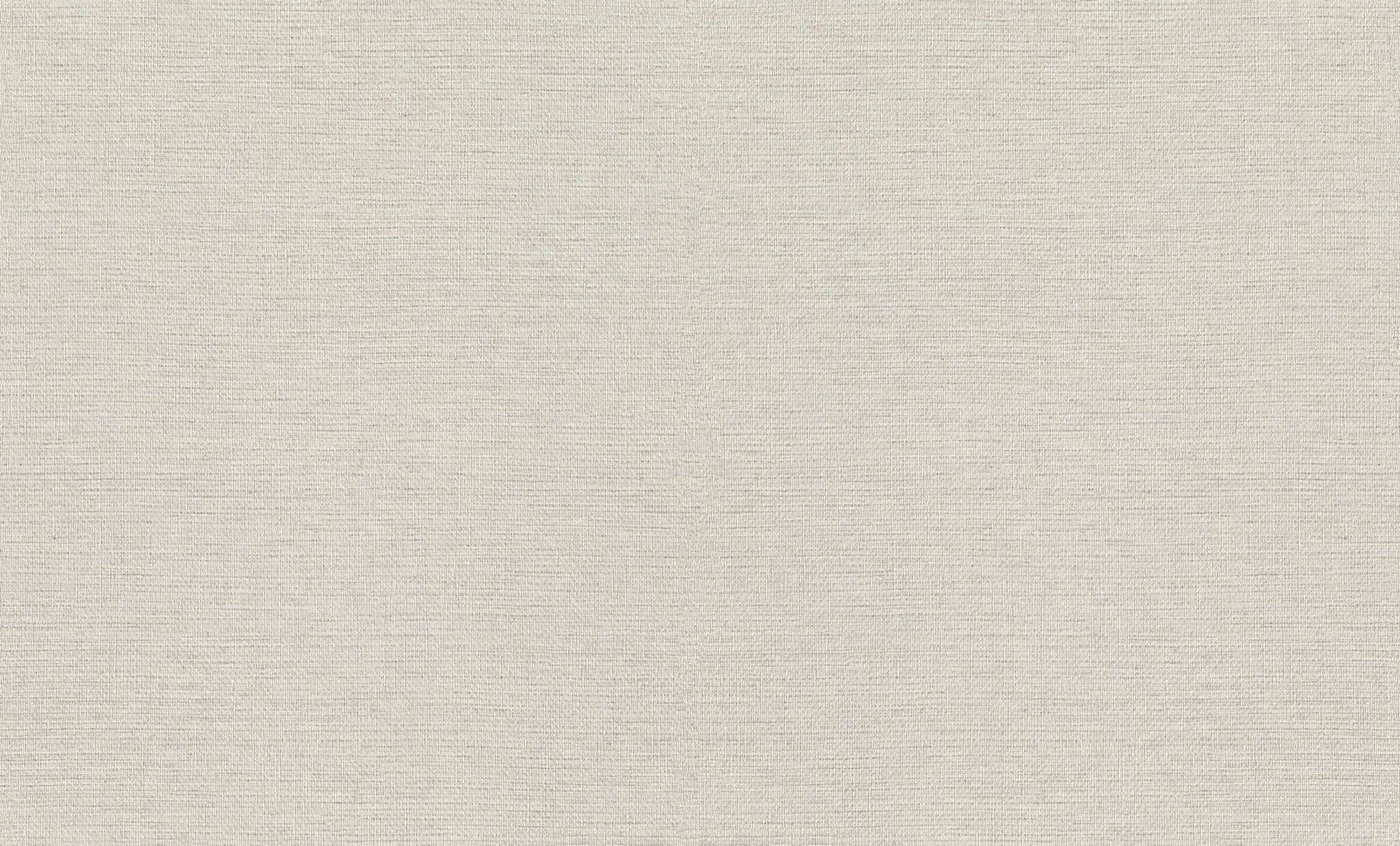 10-970623 Artikelscan 1 Uni Vliestapete in Grau-Hellgrau Wall Textures XL Vol. 4 970623