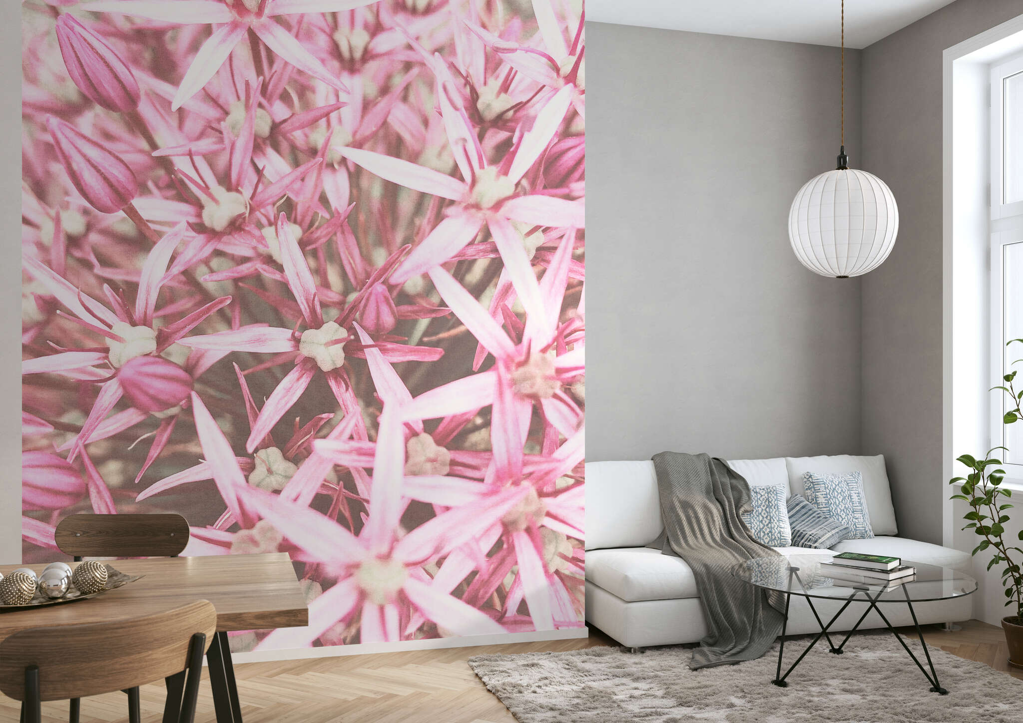 Wohnzimmer mit 364132 - Fototapete - Makro-Aufnahme der Mitte eines Zierlauch-Kopfs magicwalls Fototapete 364132
