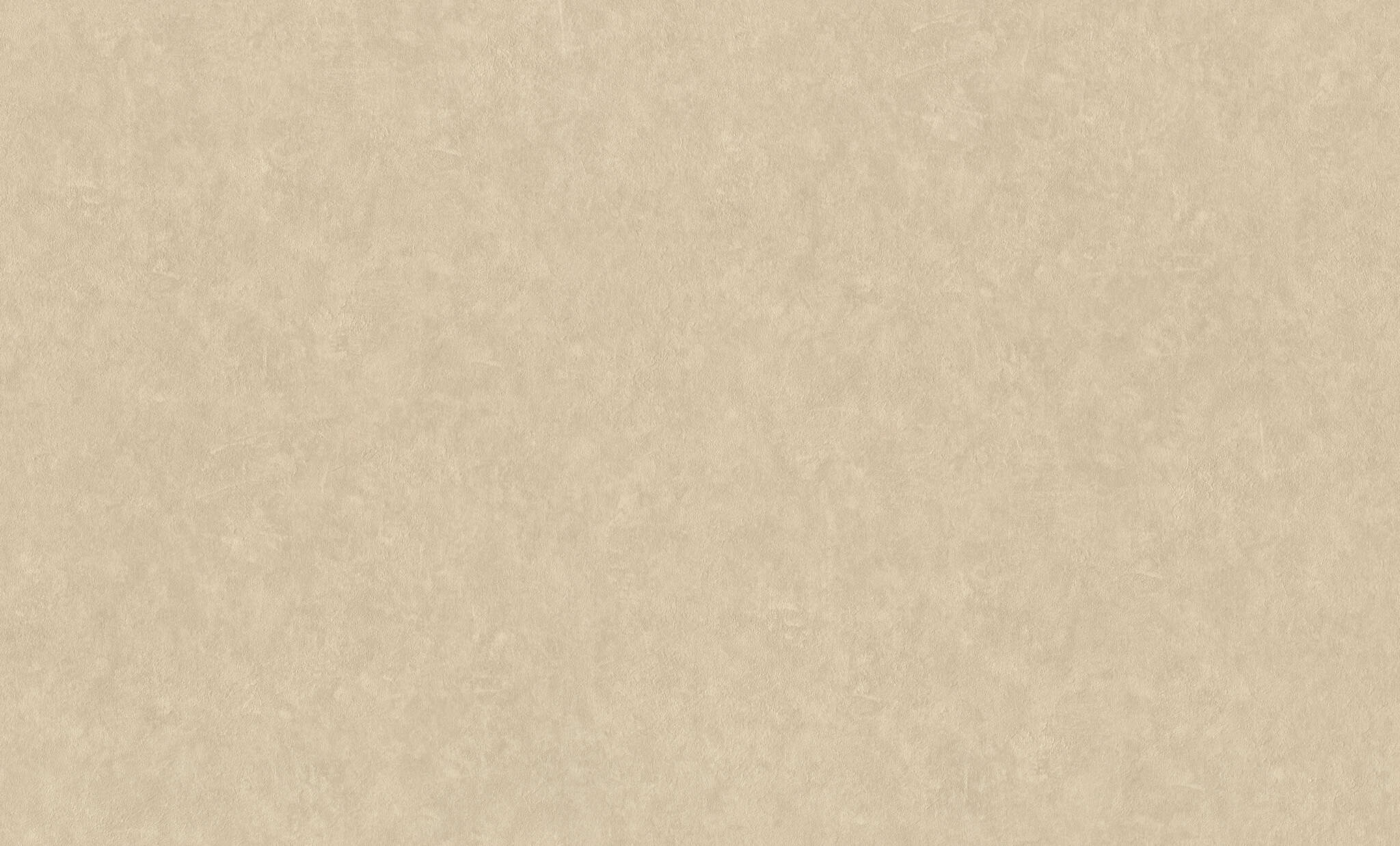 10-944662 Artikelscan 1 Putzoptik Vliestapete in Beige Ancona 944662