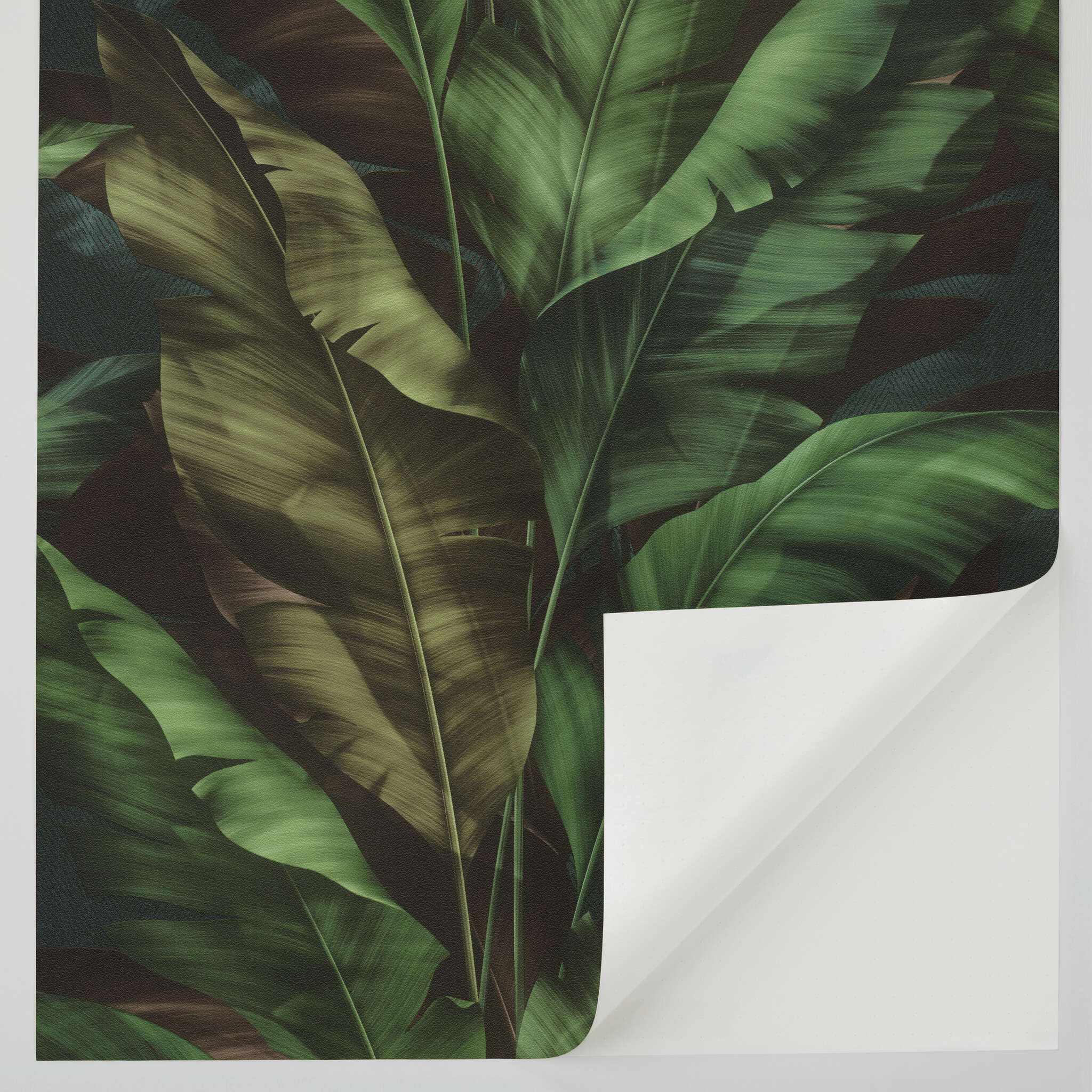 10-370034 Detailaufnahmen 2 Rio 370034 self-adhesive wallpaper - tropical banana leaves in green