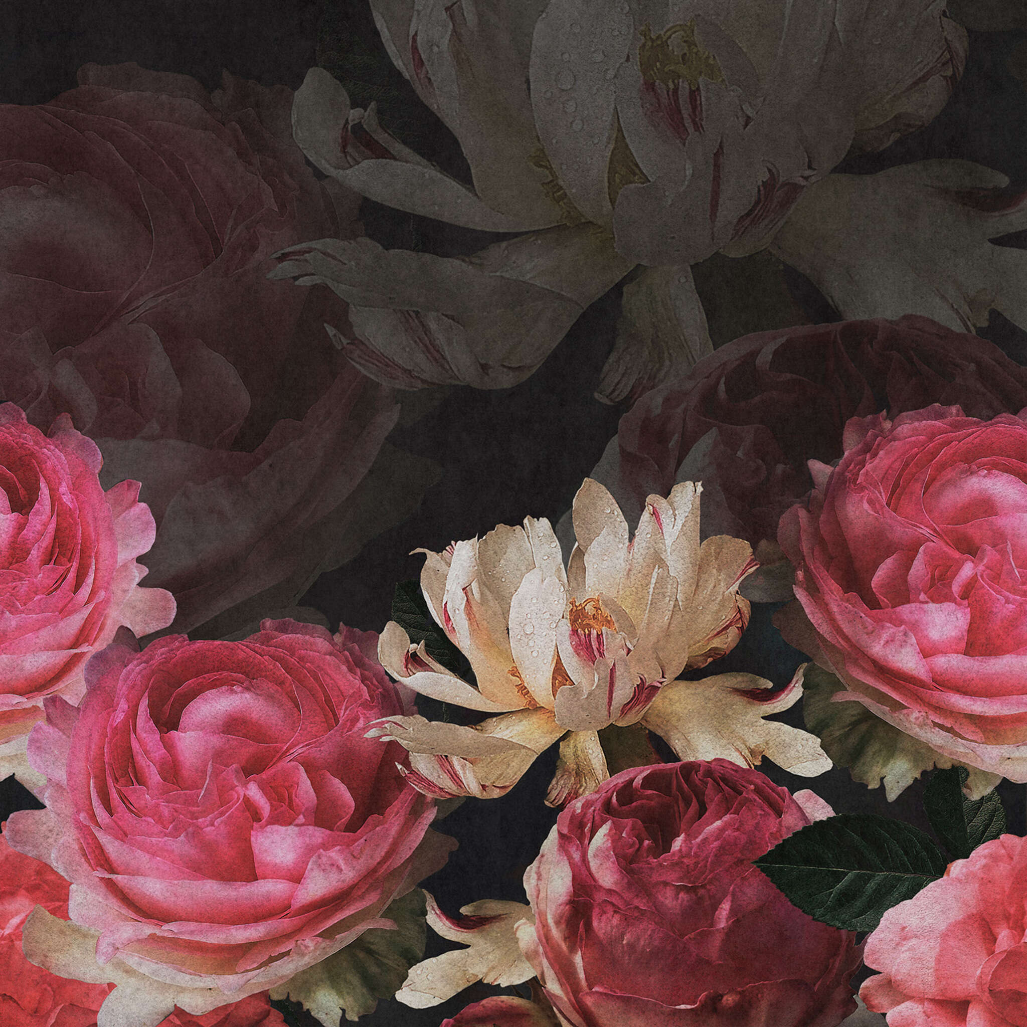 magicwalls photo wallpaper 363470