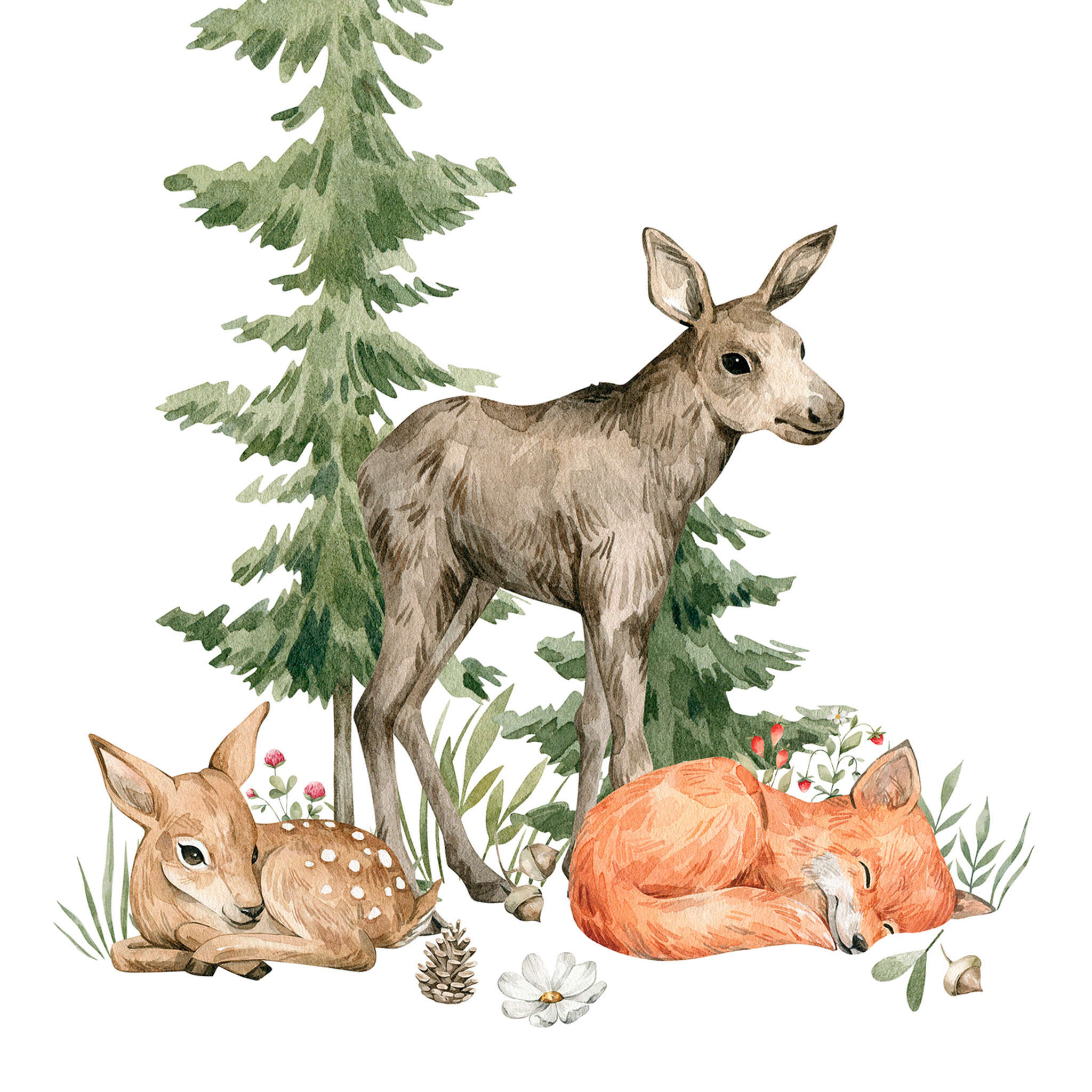 10-364996 D2C Vorschaubild 1