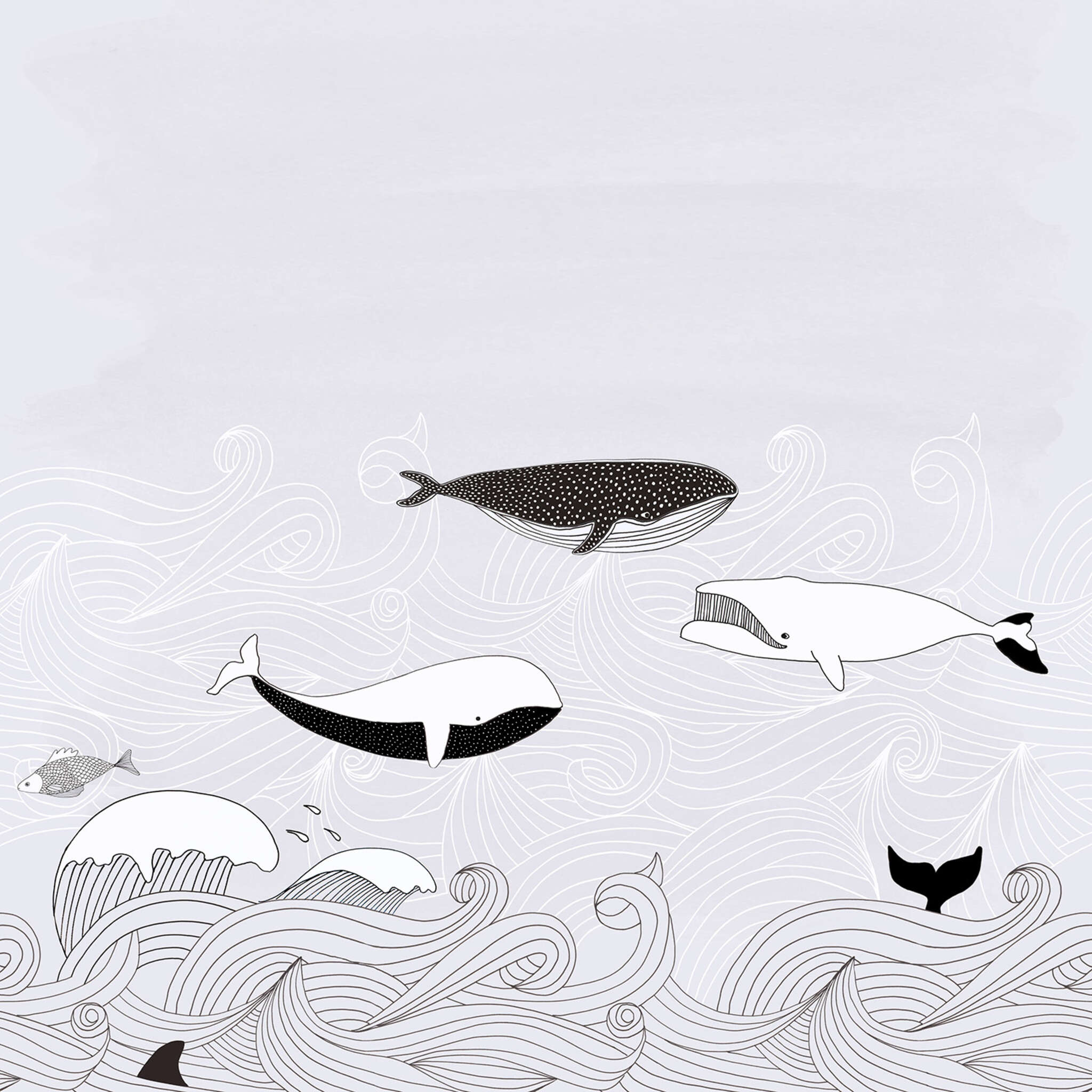 10-842531 D2C Vorschaubild 1