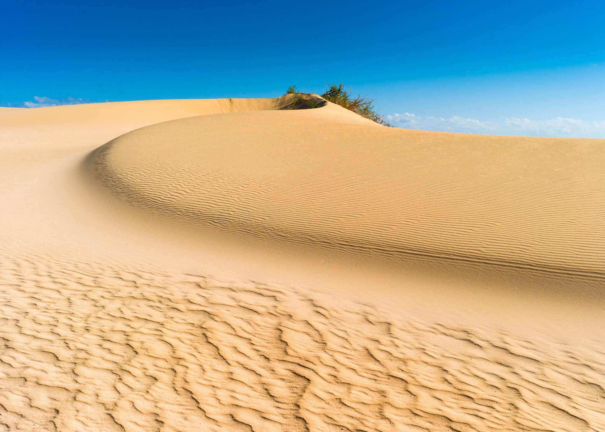 10-363241 Artikelscan 1 Wall mural desert 363241