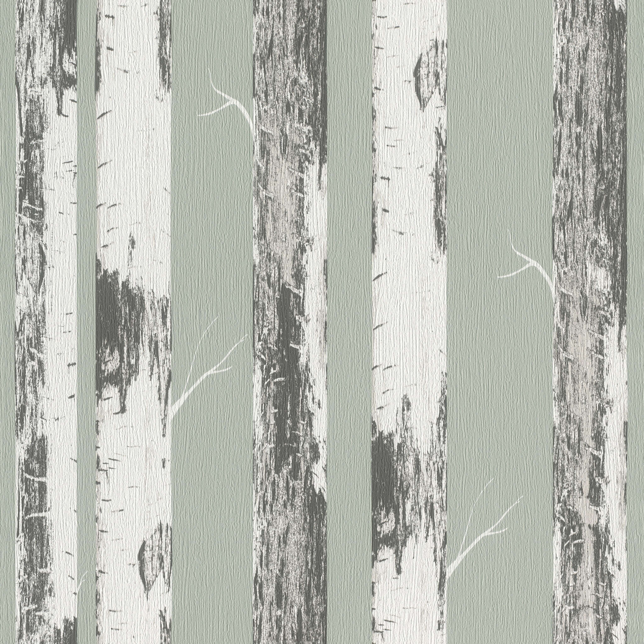 10-285413 Artikelscan 1 Papier peint avec des troncs de bouleau verticaux blancs et gris sur un fond vert sauge pour un design intérieur naturel