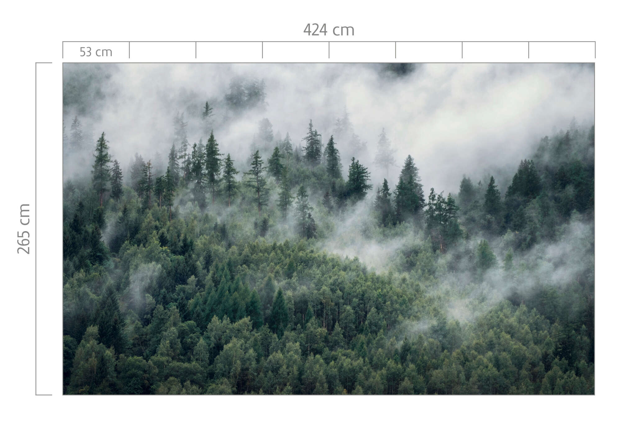 10-360028 Bildauschnitt 1