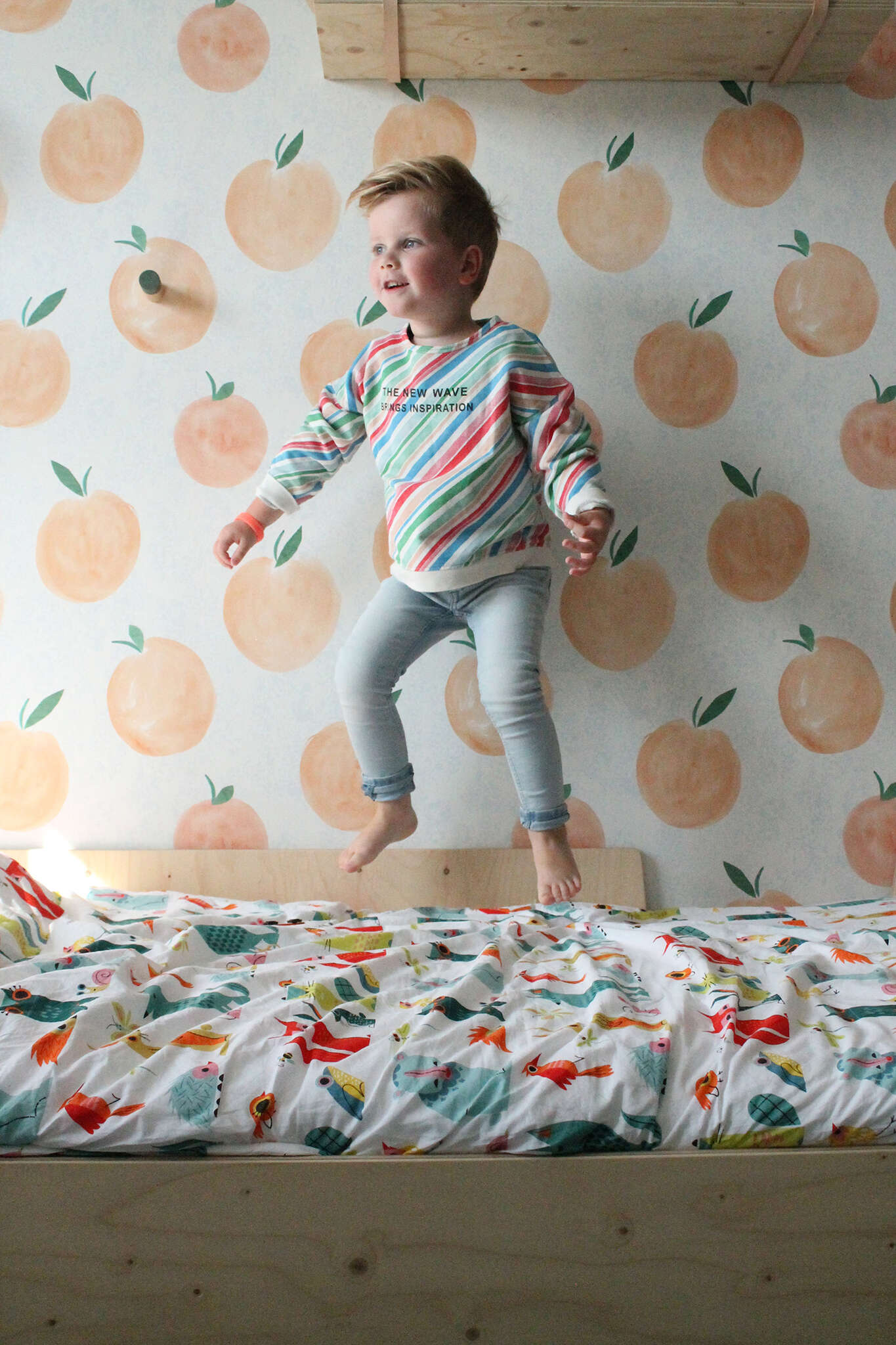 10-300097 Raumsituationen 5 Wall mural Zumo in Orange | Roomblush - RB203