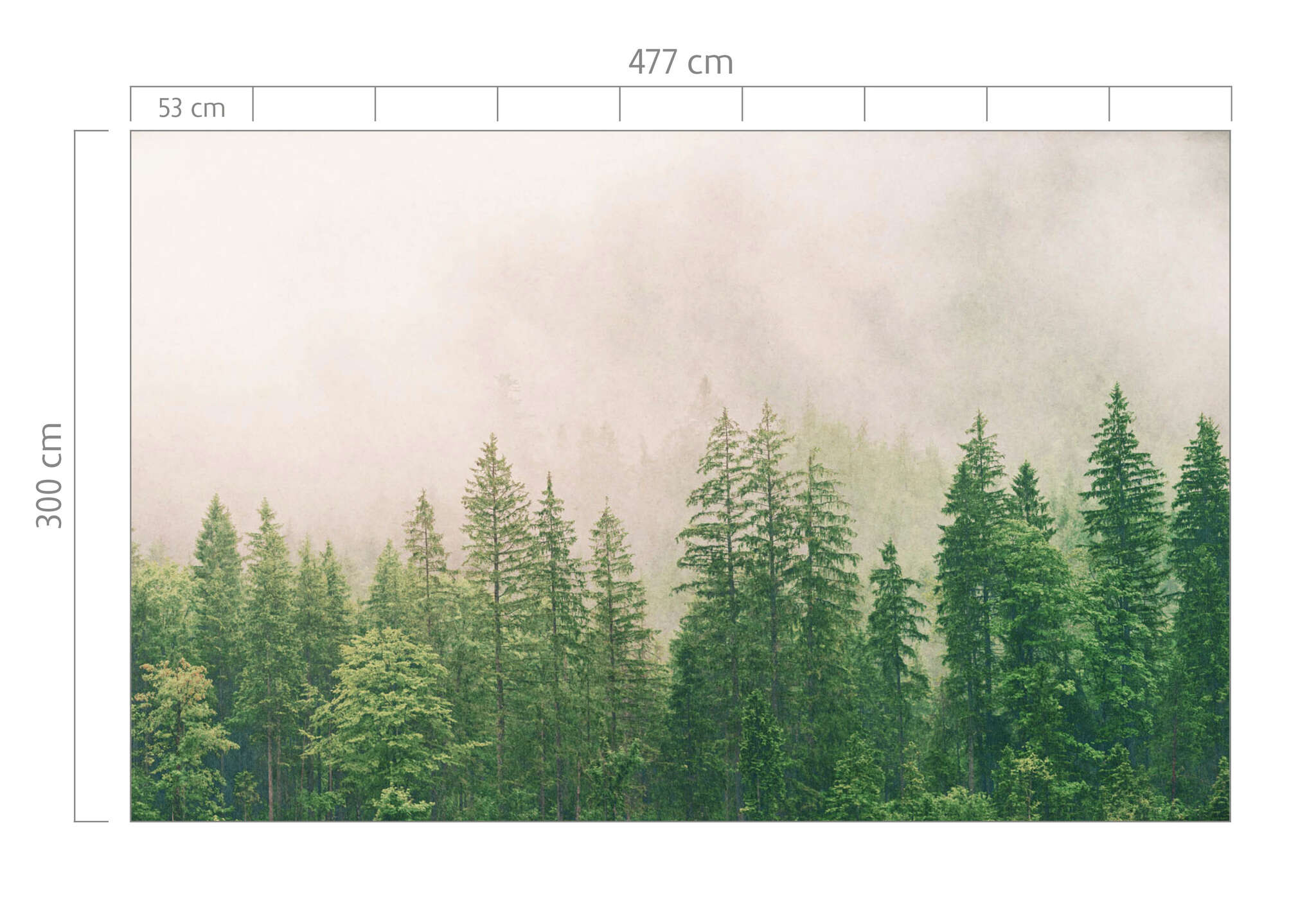 10-363203 Bildauschnitt 1 magicwalls photo wallpaper forest in the fog 363203