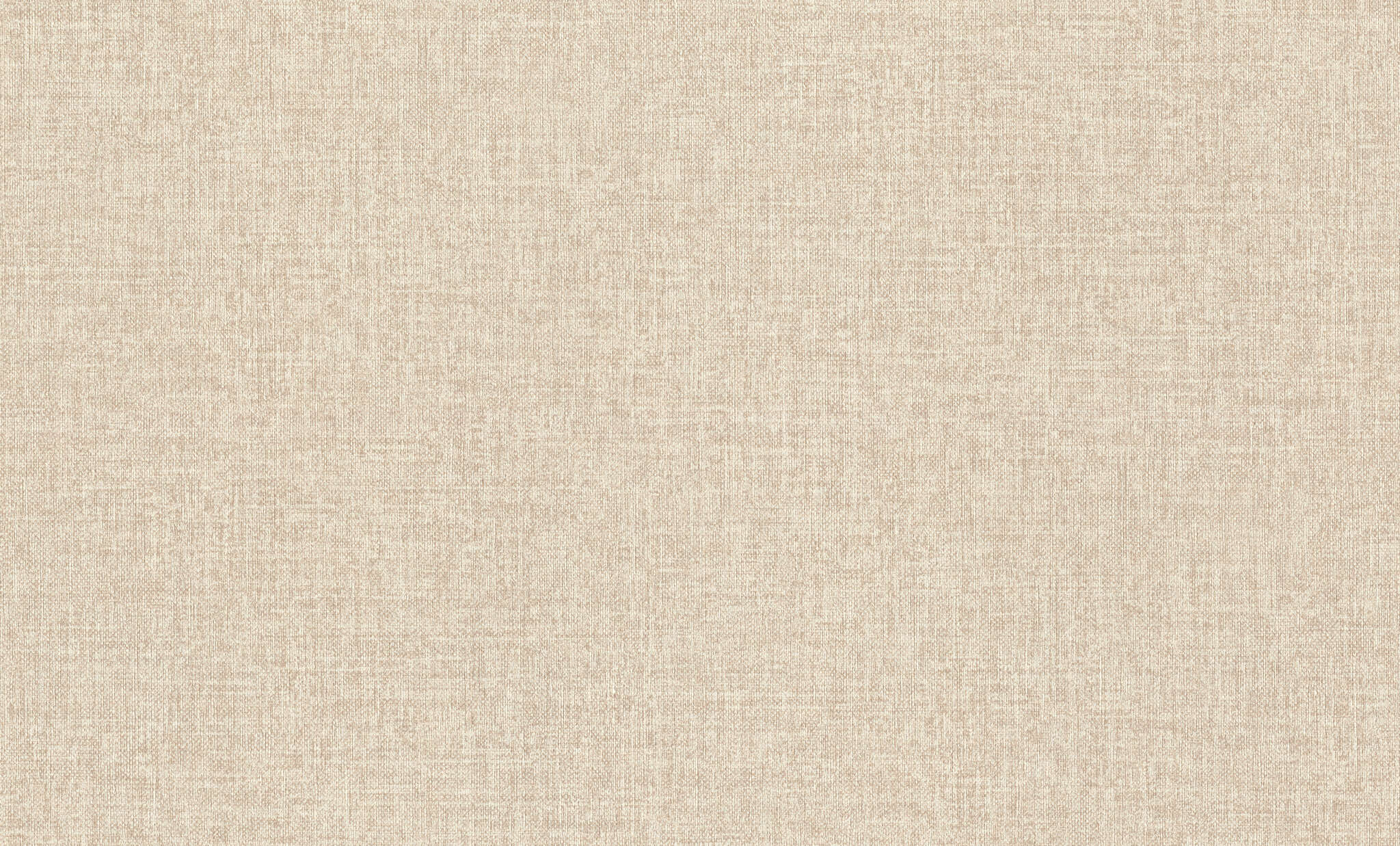 10-970555 Artikelscan 1 Plain non-woven wallpaper in beige-dark beige Wall Textures XL Vol. 3 970555
