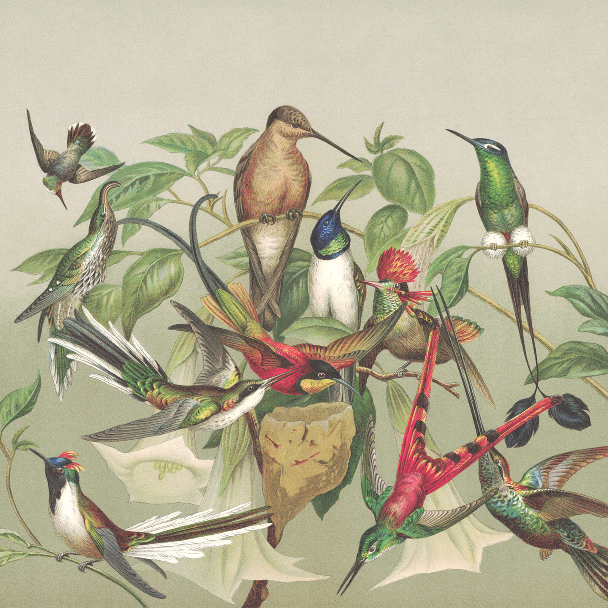 10-543520 D2C Vorschaubild 1 Curiosity wall mural 543520