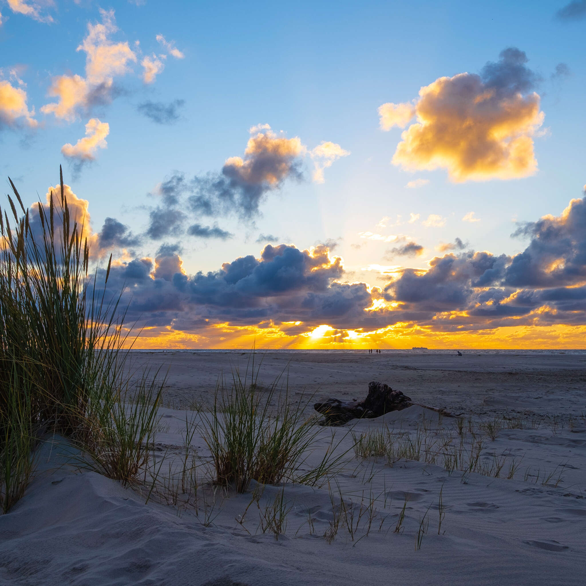 wall mural sunset in the dunes - magicwalls 364699